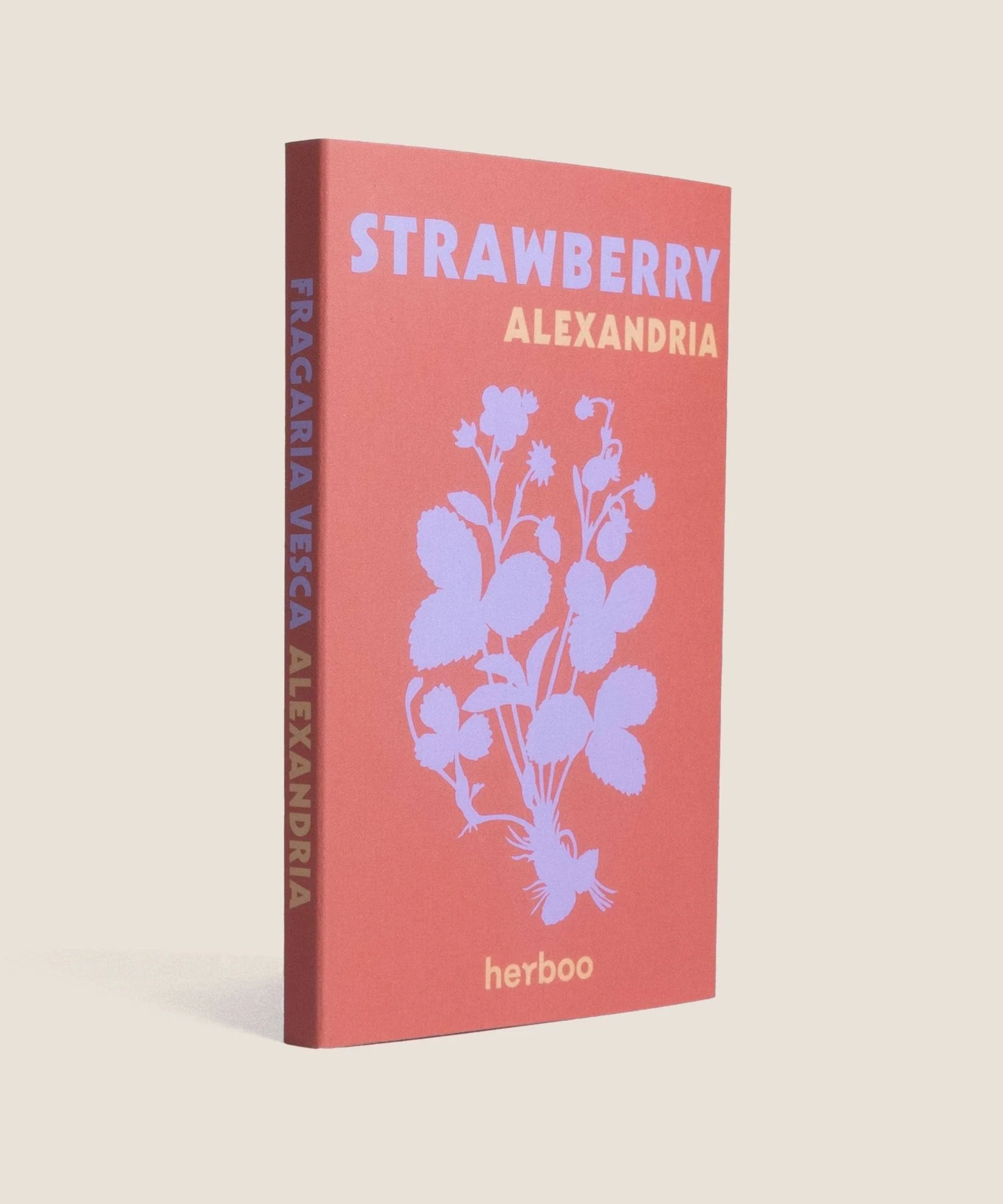 Alpine Strawberry (Fragaria vesca) ‘Alexandria’ Seeds - Image 3