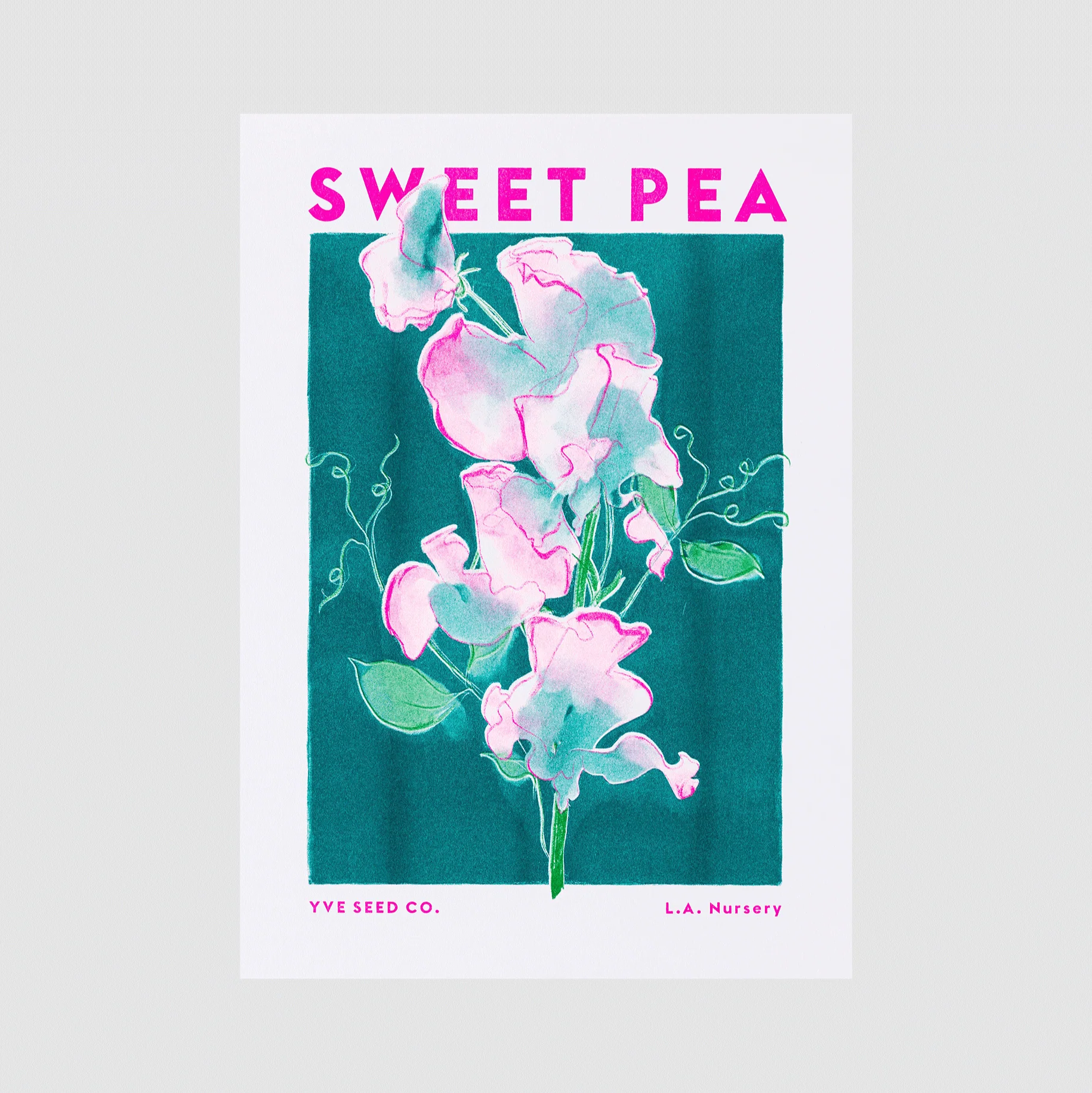 Sweet Pea Flower Risograph Print