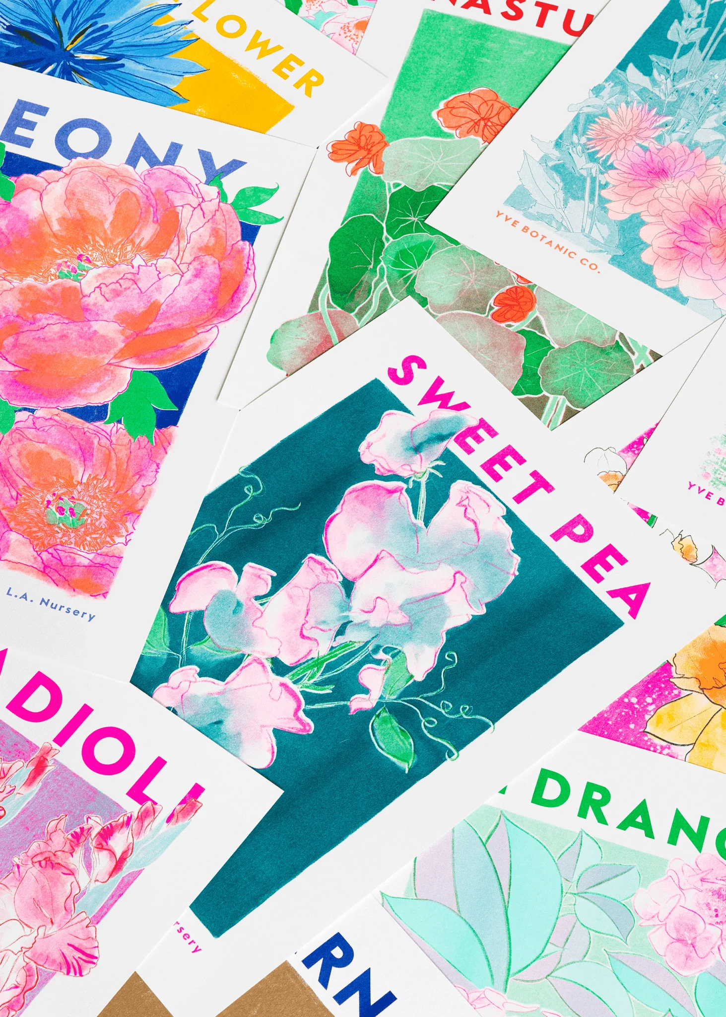 Sweet Pea Flower Risograph Print - Image 3