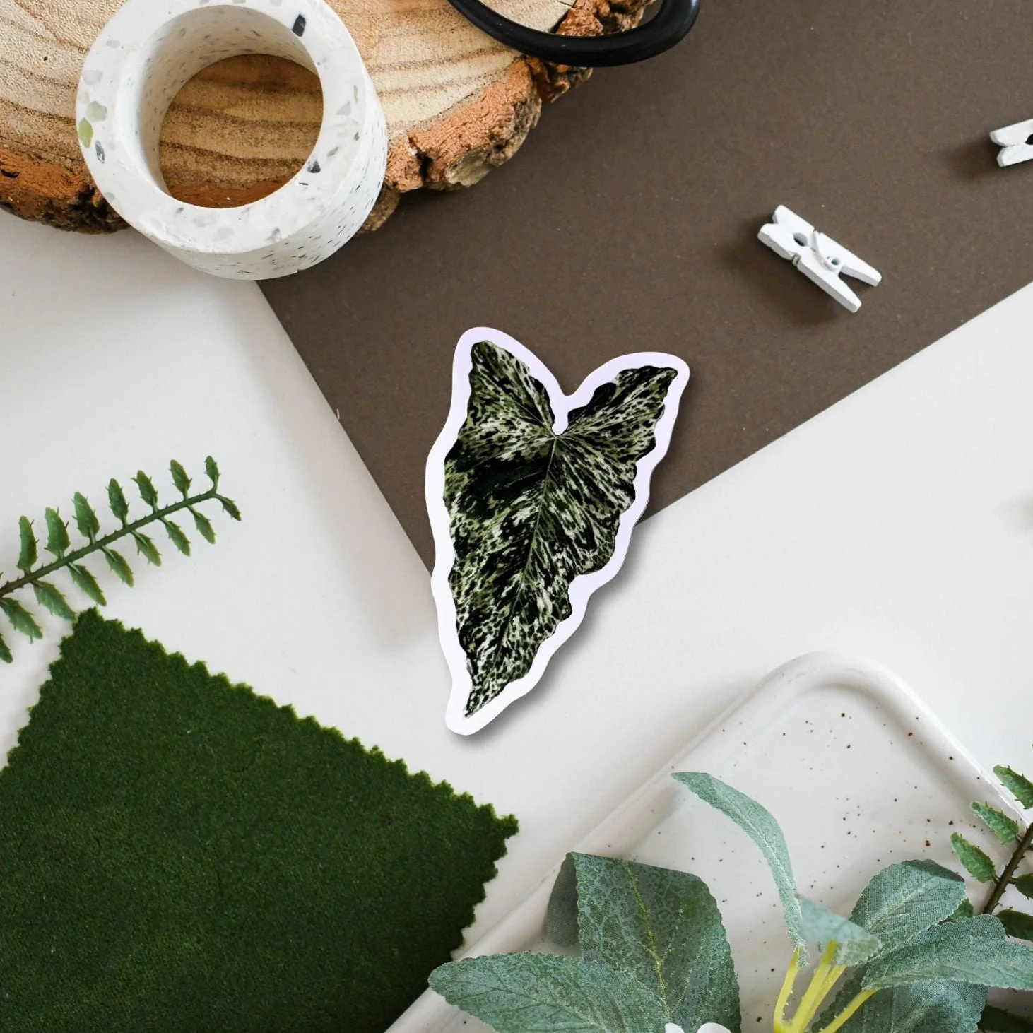 Syngonium ‘Mojito’ Tropical Houseplant Vinyl Sticker [Beneath the Canopy RHS Collab]