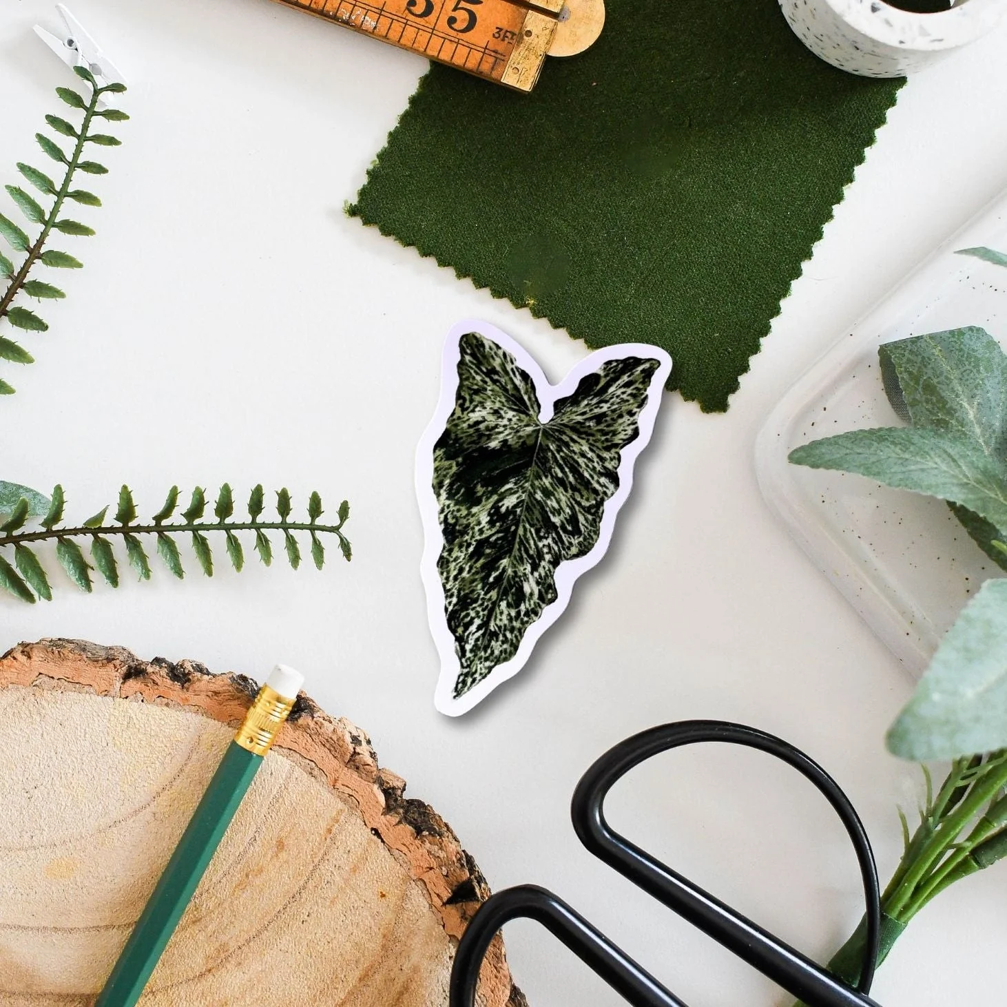Syngonium ‘Mojito’ Tropical Houseplant Vinyl Sticker [Beneath the Canopy RHS Collab] - Image 2