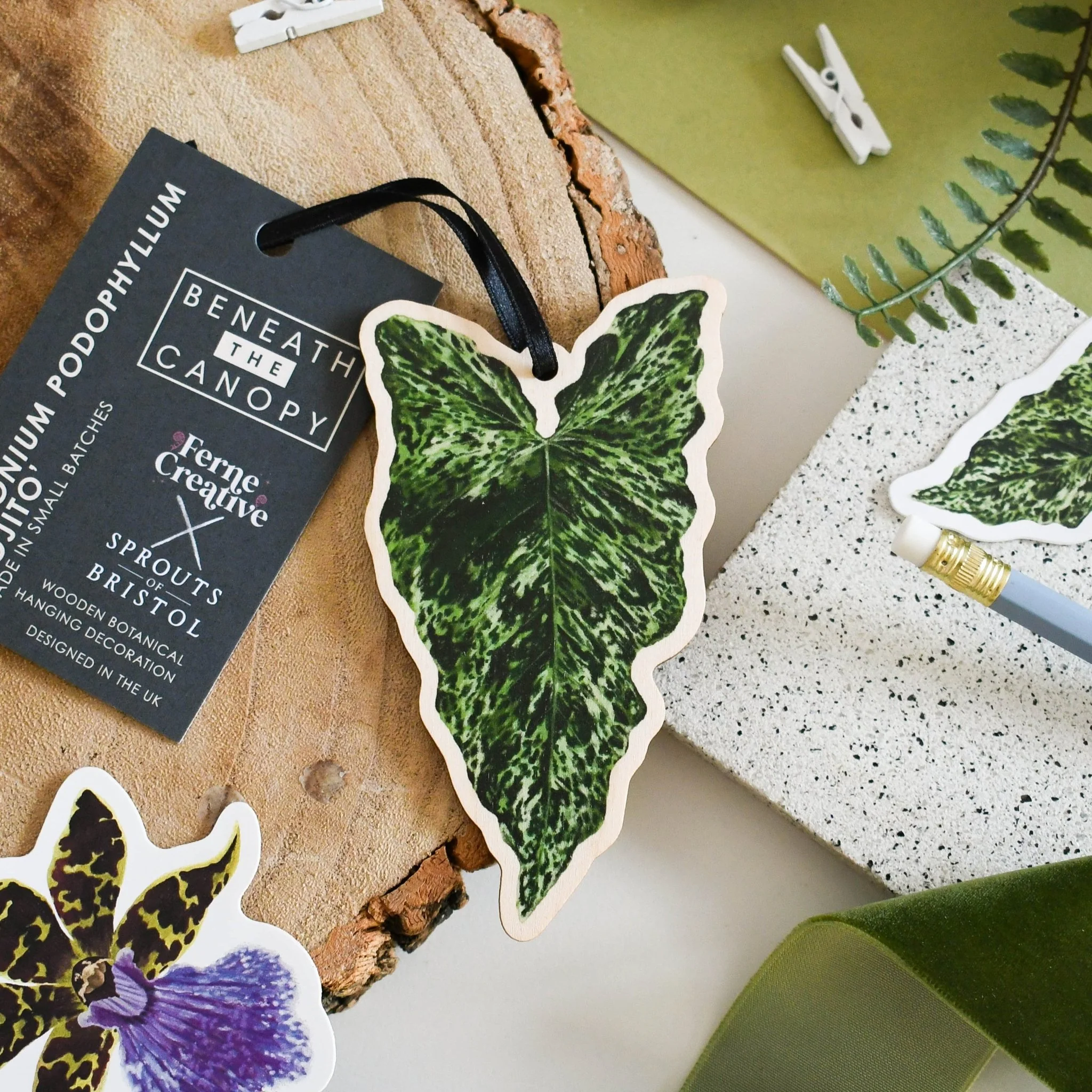 Syngonium ‘Mojito’ Wooden Decoration [Beneath the Canopy RHS Collab]
