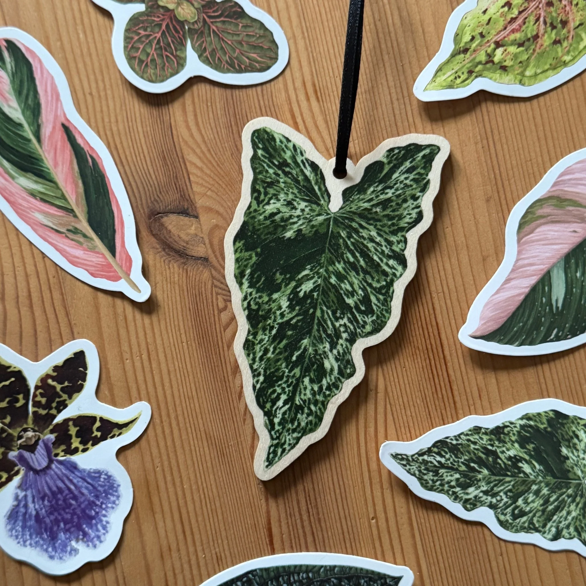 Syngonium ‘Mojito’ Wooden Decoration [Beneath the Canopy RHS Collab] - Image 3