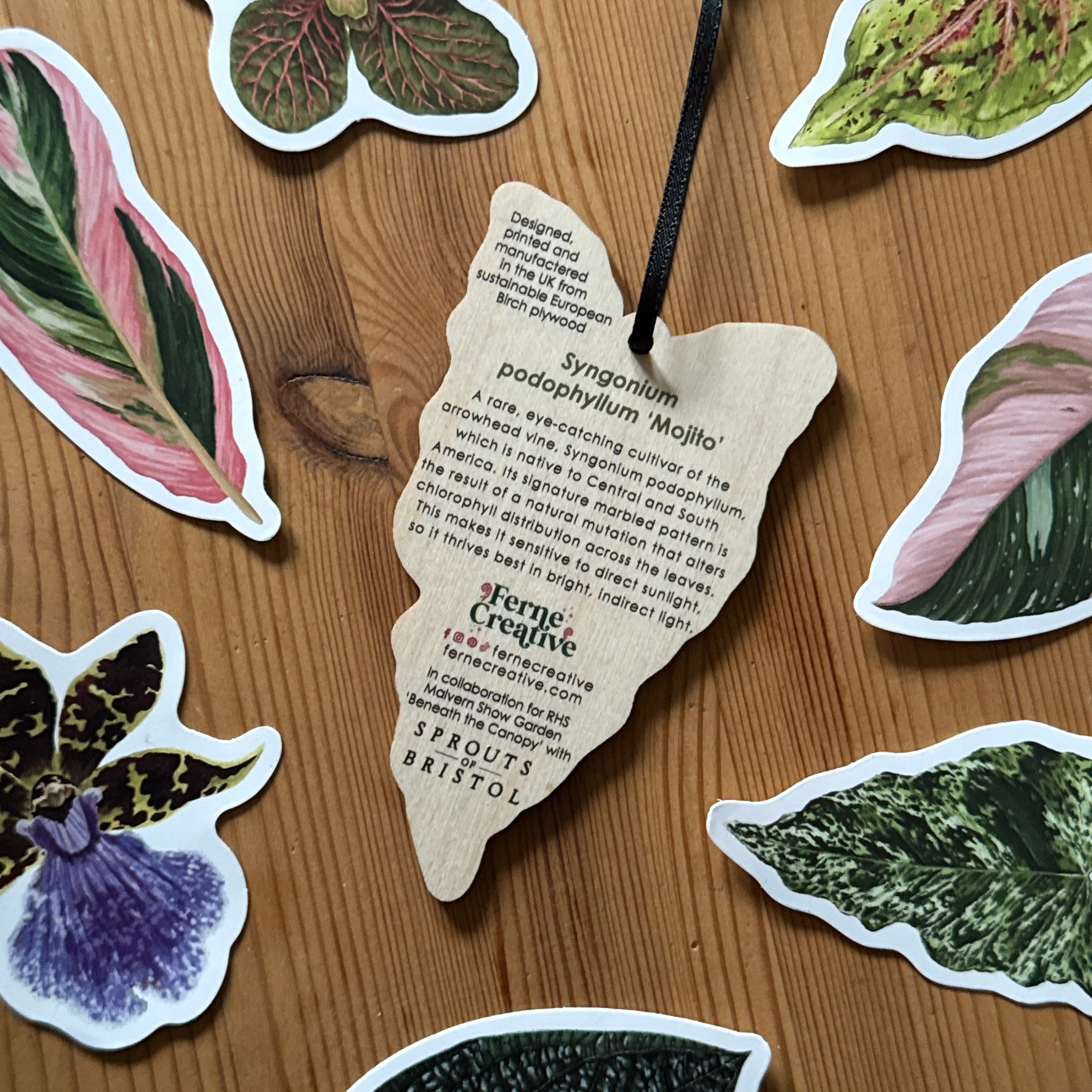 Syngonium ‘Mojito’ Wooden Decoration [Beneath the Canopy RHS Collab] - Image 4