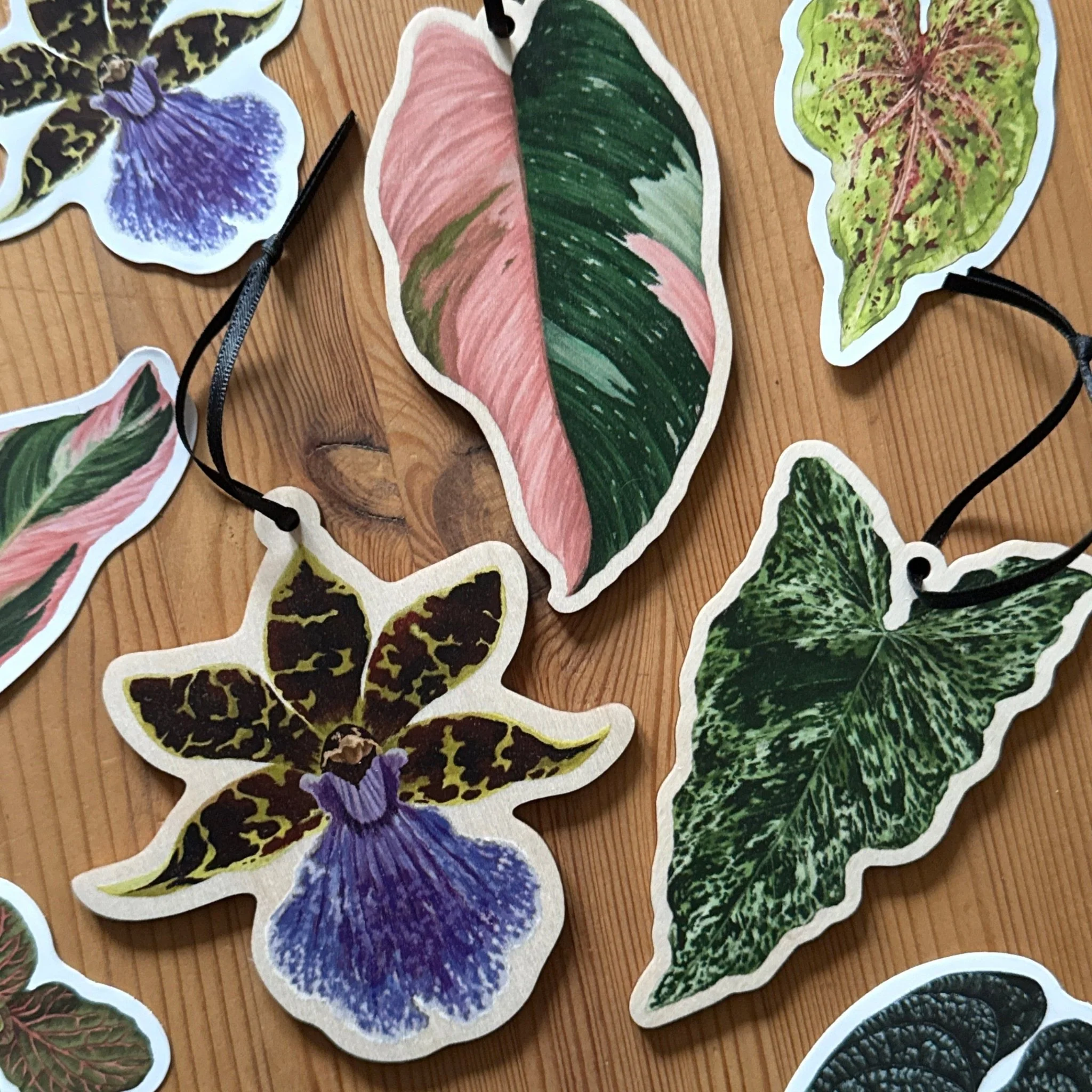 Syngonium ‘Mojito’ Wooden Decoration [Beneath the Canopy RHS Collab] - Image 5