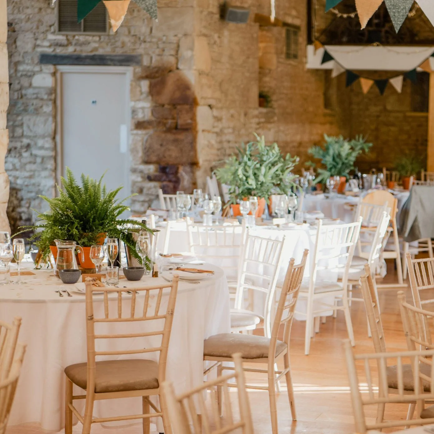 Simple Table Centrepiece Hire – Plant & Pot Combo