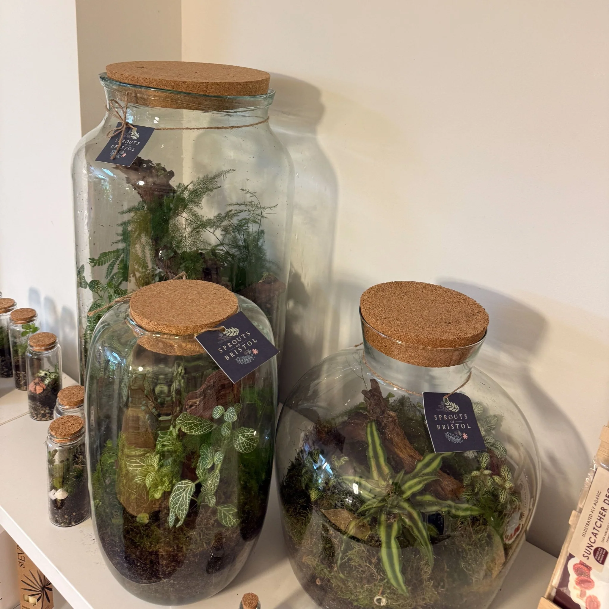 Cork Lid - Perfect Fit for Terrariums and Glass Jars - Various Sizes - Image 5