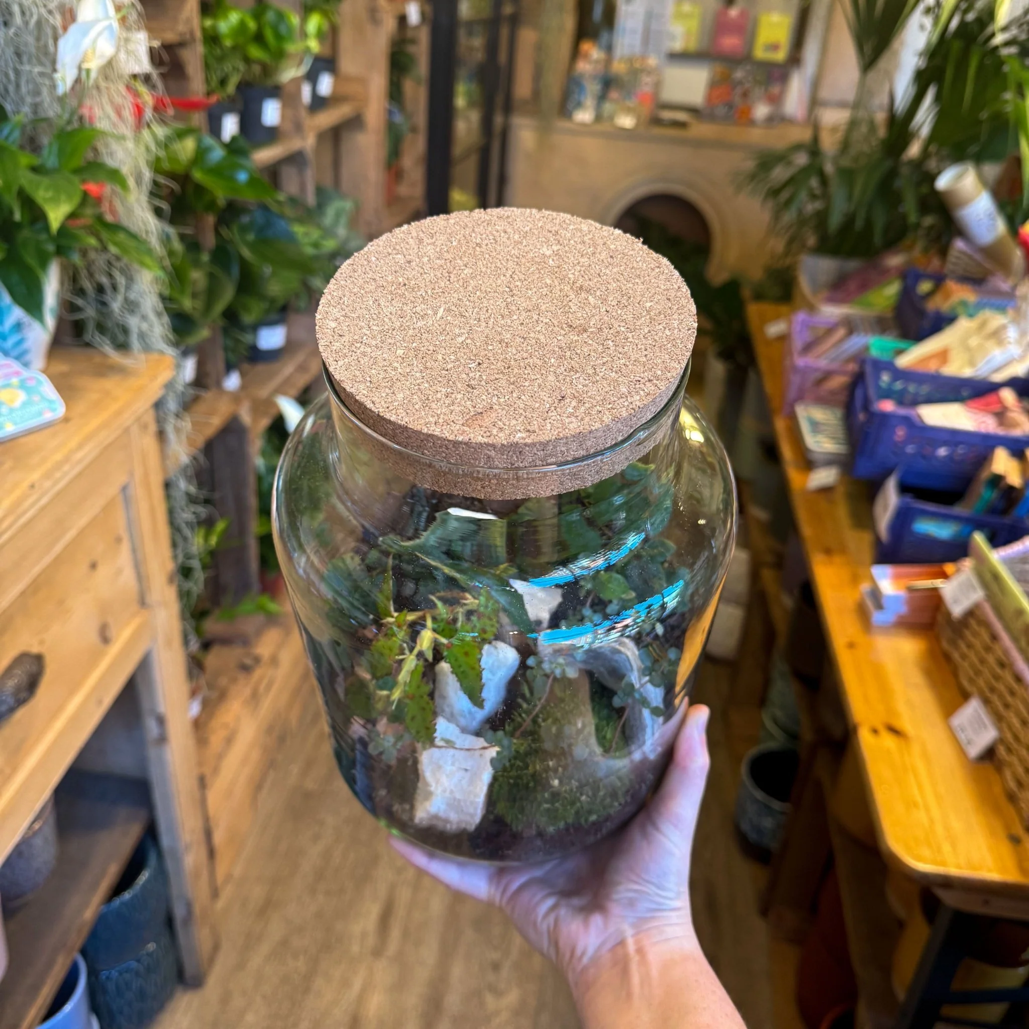 Cork Lid - Perfect Fit for Terrariums and Glass Jars - Various Sizes - Image 6