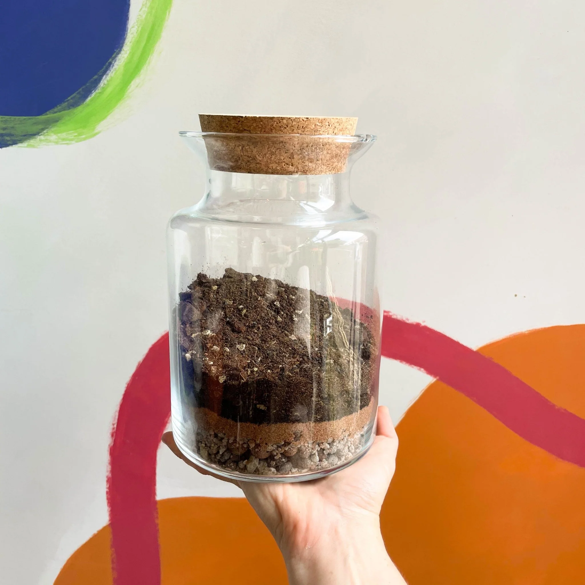 Build Your Own Terrarium Kit – Brenda Jungle Jar - Image 4