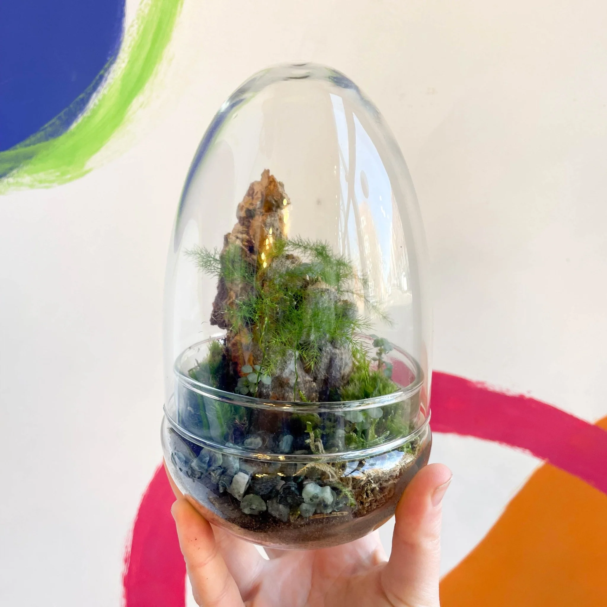 The Jungle Egg - Bioactive Terrarium