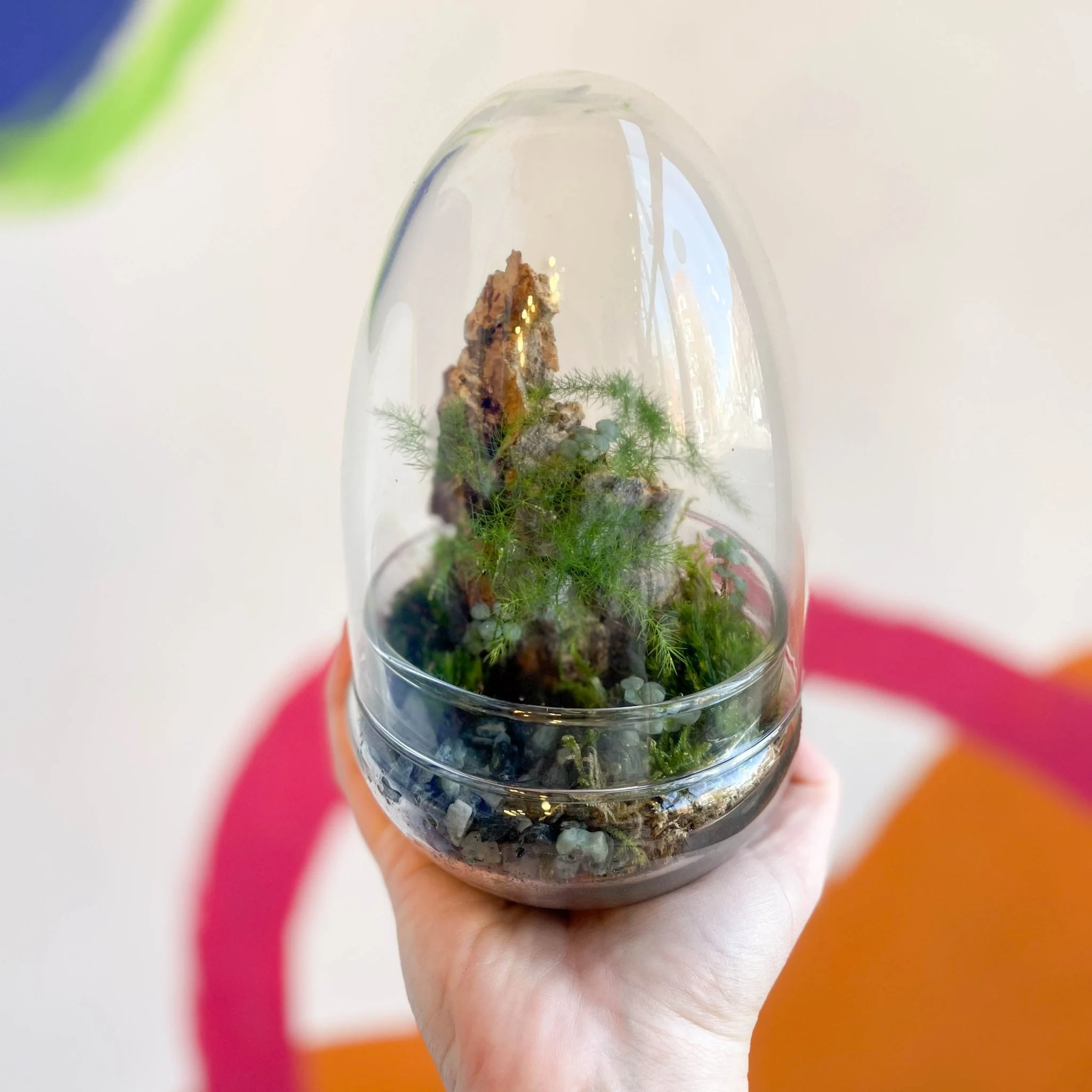 The Jungle Egg - Bioactive Terrarium - Image 2