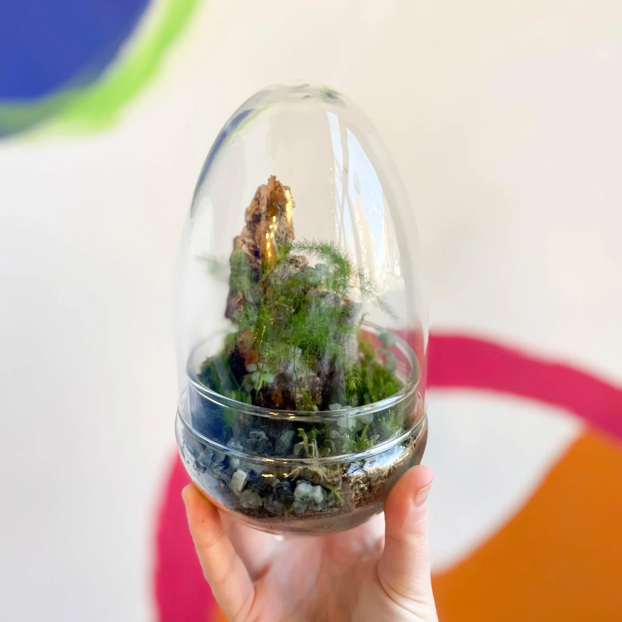 The Jungle Egg - Bioactive Terrarium - Image 3