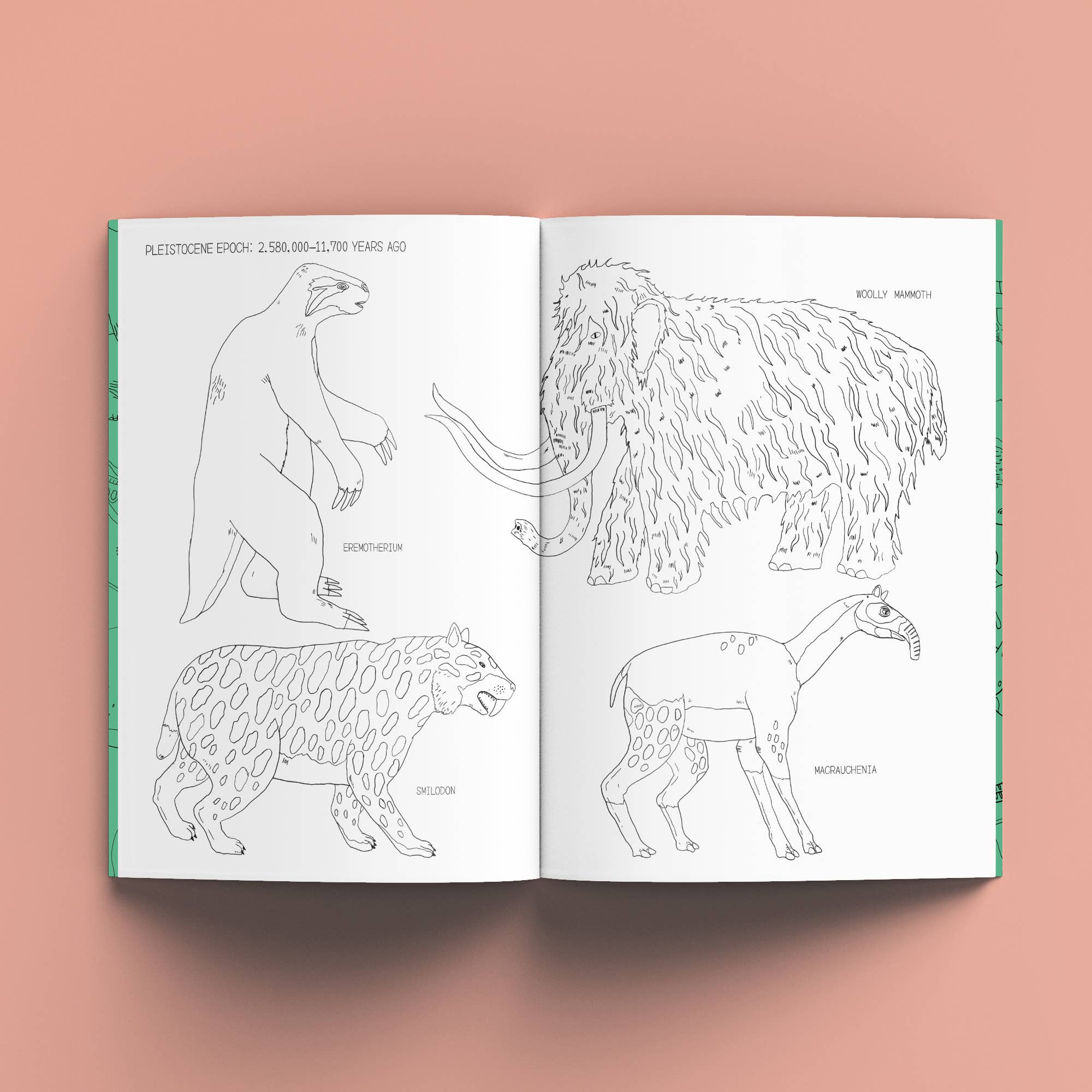 The Nature History Colouring Book - Image 10