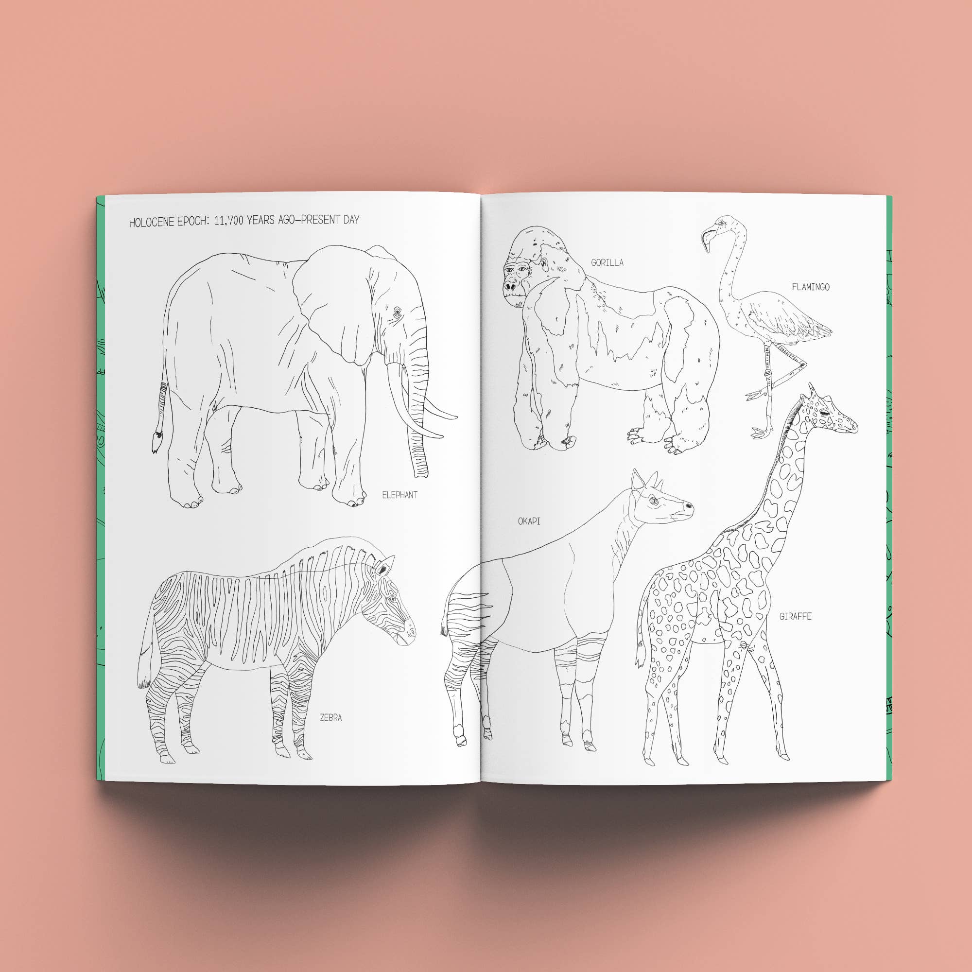 The Nature History Colouring Book - Image 5
