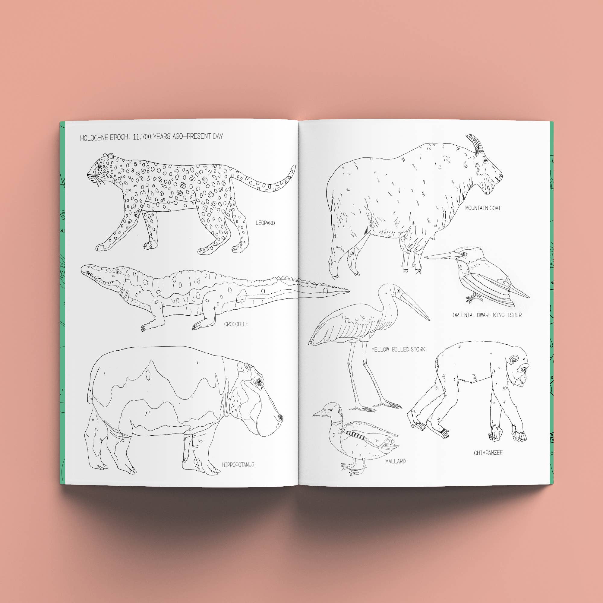 The Nature History Colouring Book - Image 6