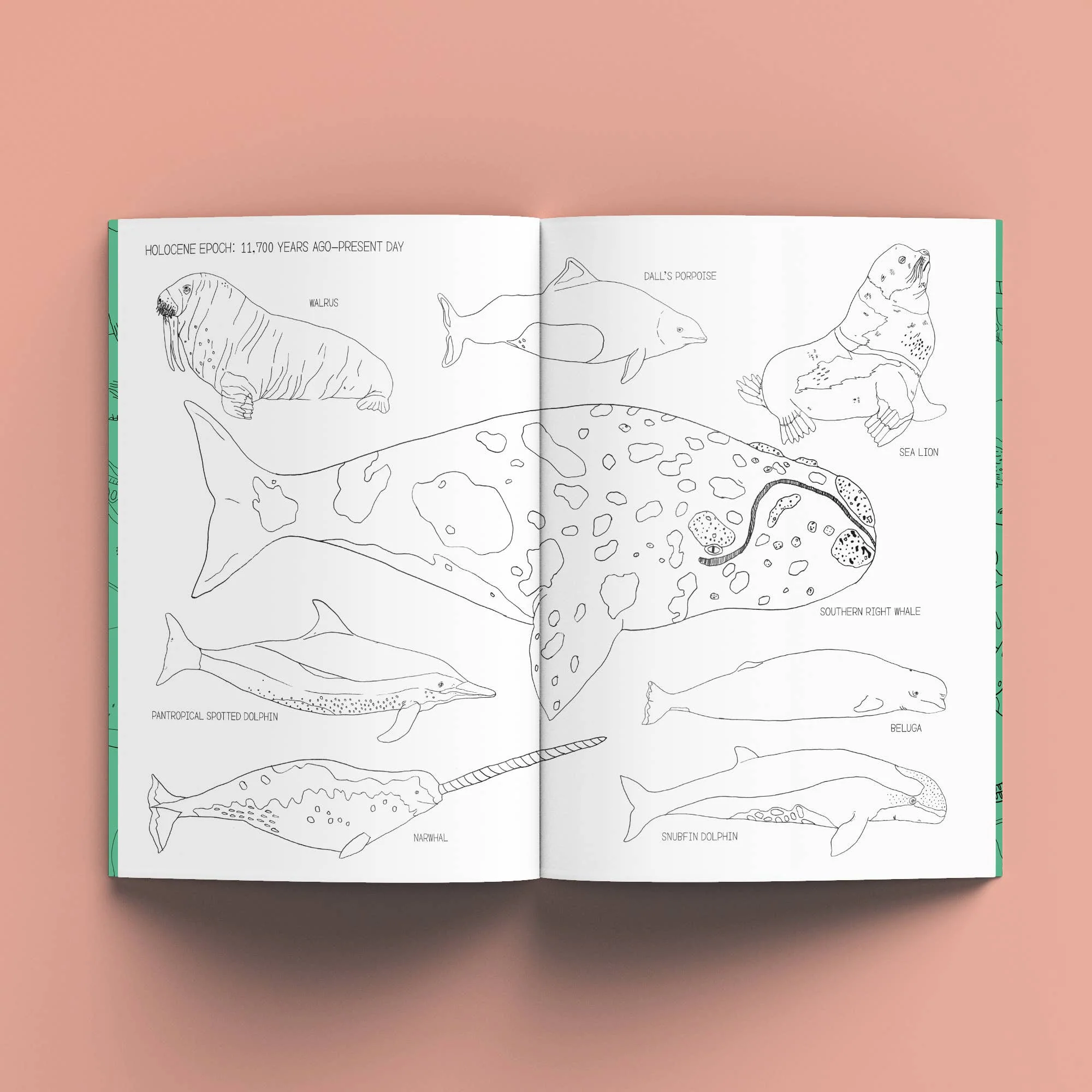 The Nature History Colouring Book - Image 8