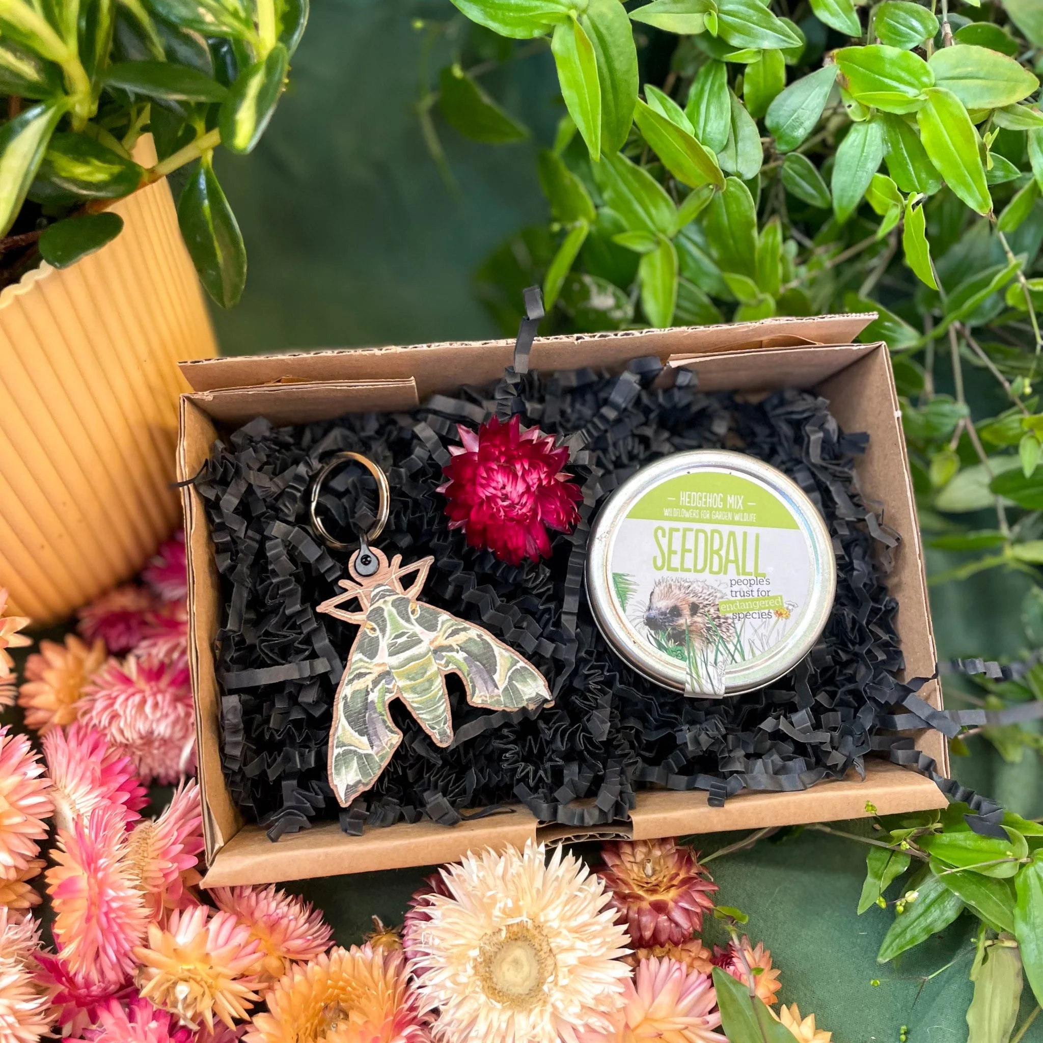 The Nature Lover Mini Gift Set - Wooden Keyring and Wildflower Seeds - Choose your own! - Image 4
