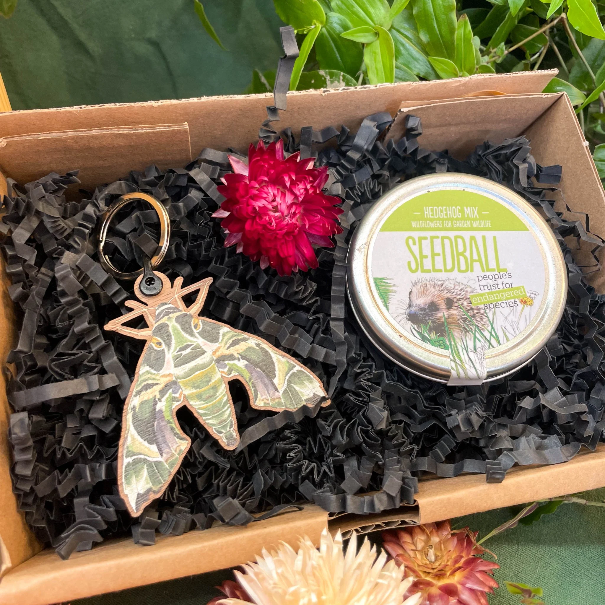 The Nature Lover Mini Gift Set - Wooden Keyring and Wildflower Seeds - Choose your own! - Image 5