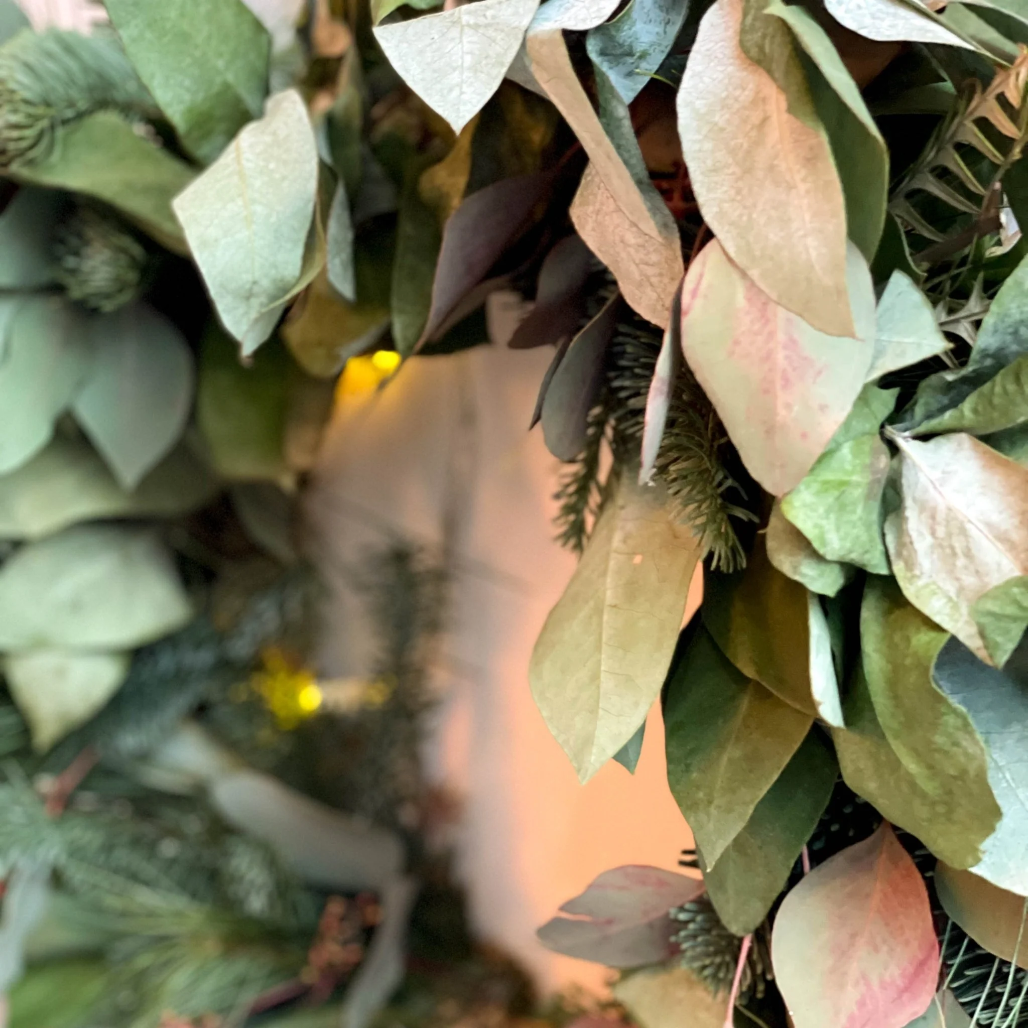 The 'Sidecar' Fresh Foliage Christmas Wreath. Featuring Blue Pine, Scots Pine, Eucalyptus, Popular and Grevilea. [Made to Order] - Image 2