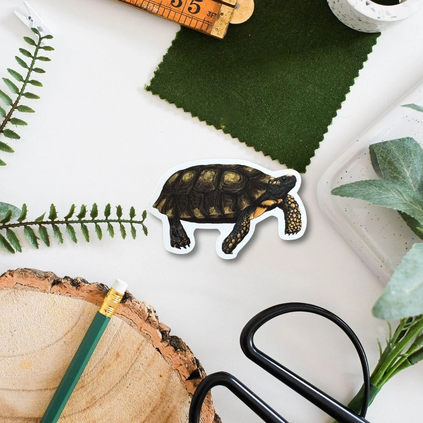 Tortoise Amazon Wildlife Vinyl Sticker [Beneath the Canopy RHS Collab] - Image 2