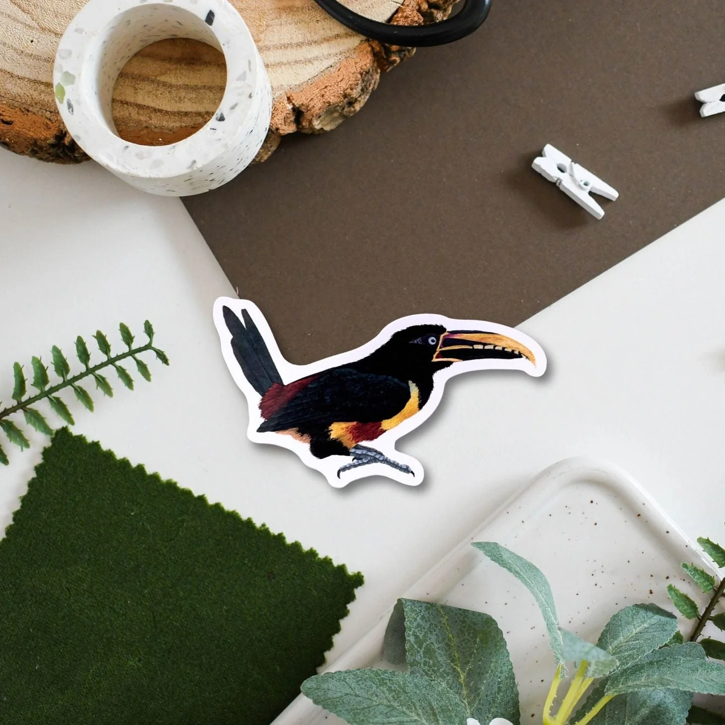 Toucan Amazon Wildlife Vinyl Sticker [Beneath the Canopy RHS Collab]