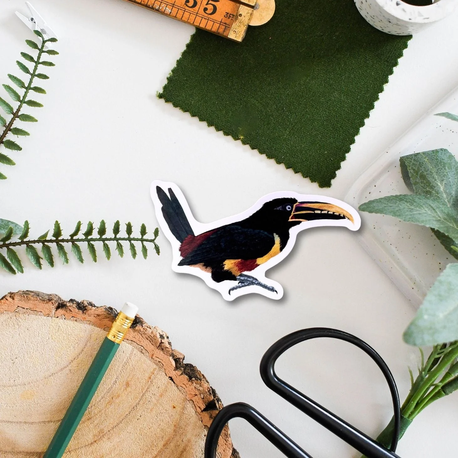 Toucan Amazon Wildlife Vinyl Sticker [Beneath the Canopy RHS Collab] - Image 2