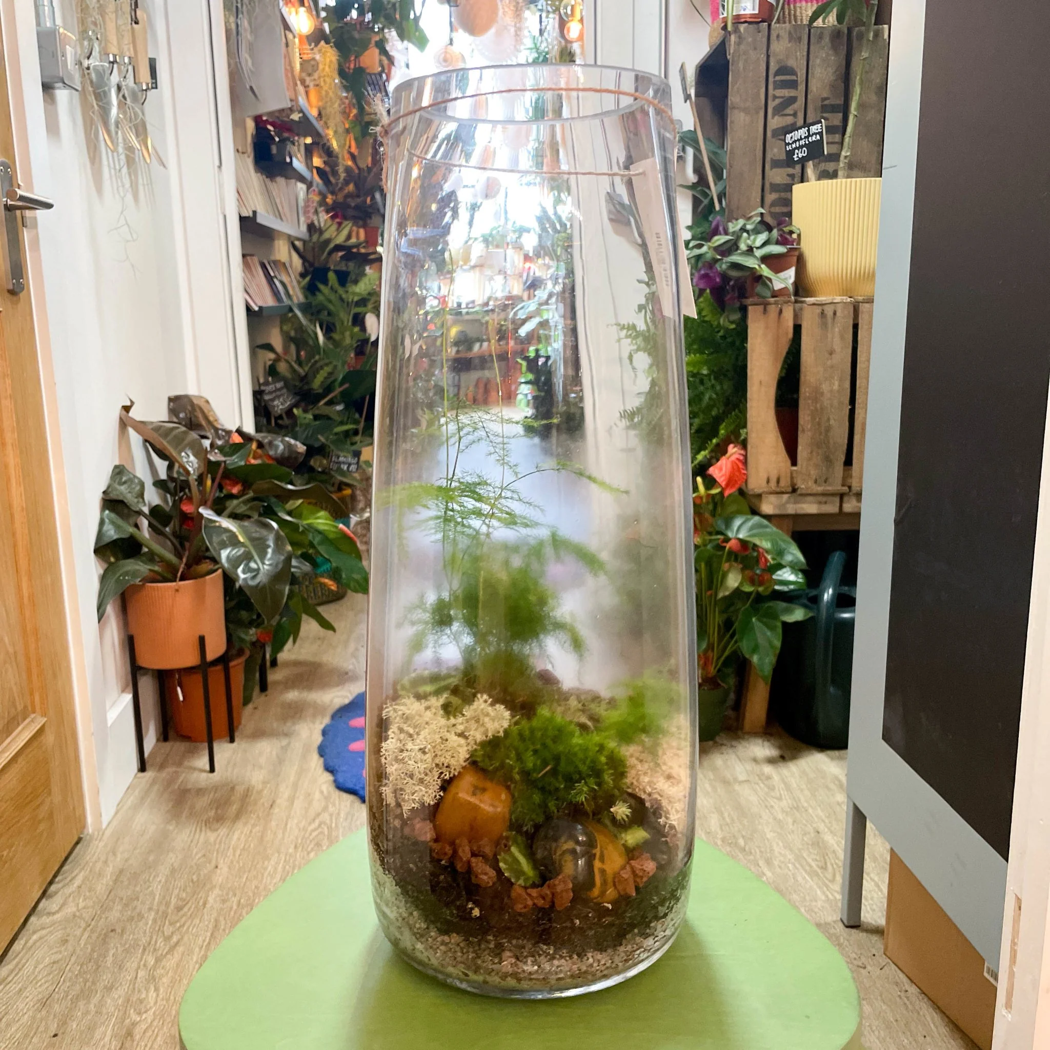 Tower Vase - Bioactive Terrarium - Image 3