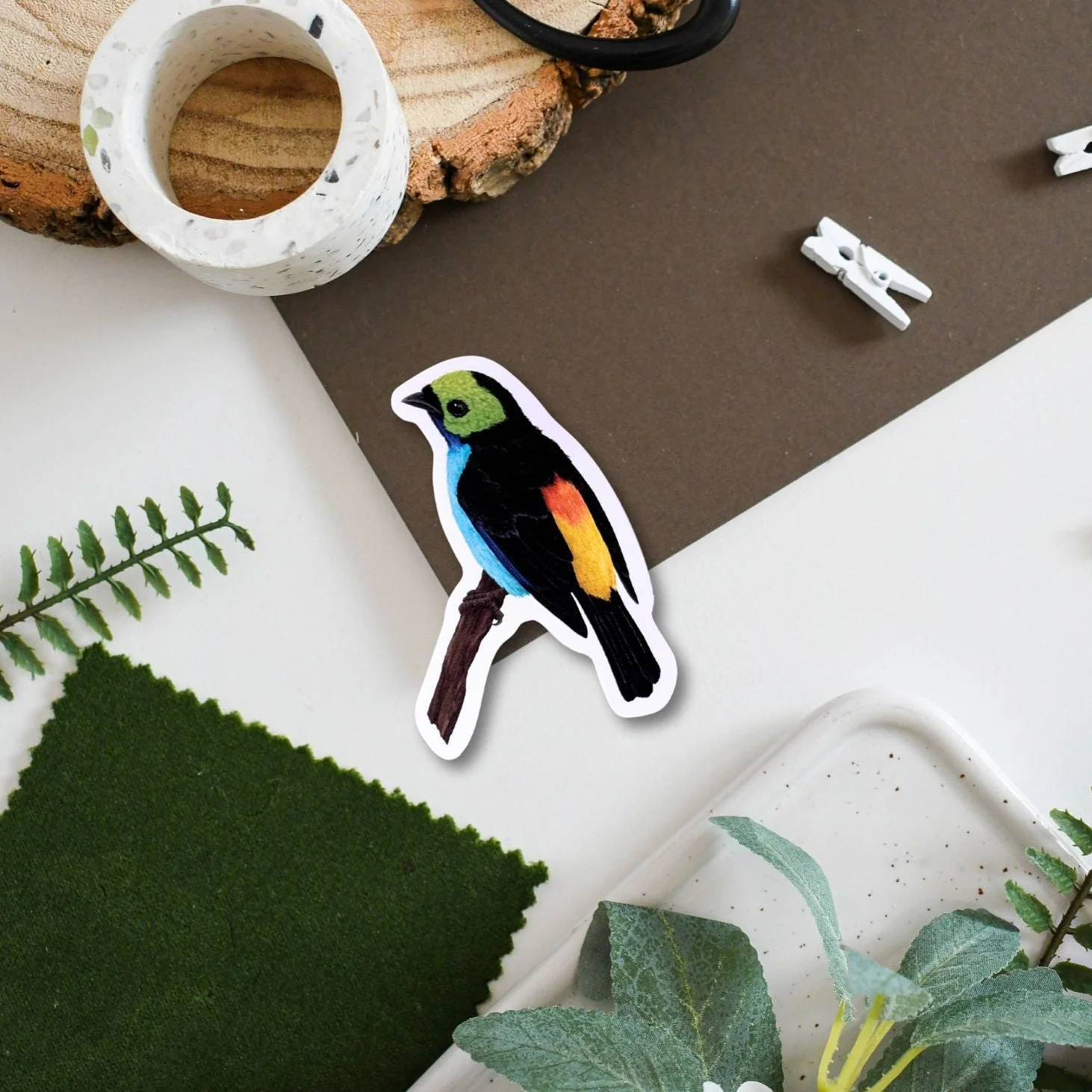 Tropical Paradise Bird Amazon Wildlife Vinyl Sticker [Beneath the Canopy RHS Collab]