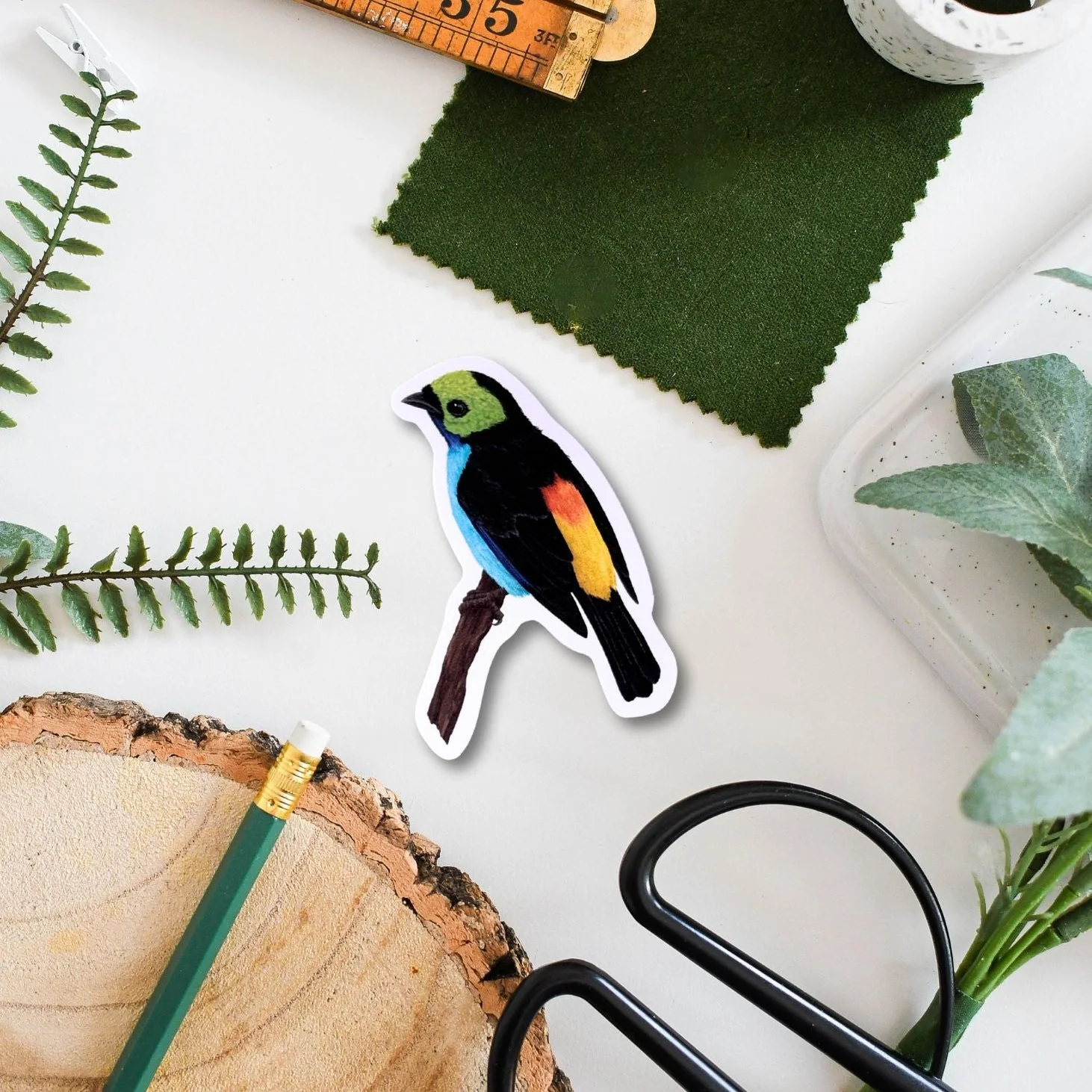 Tropical Paradise Bird Amazon Wildlife Vinyl Sticker [Beneath the Canopy RHS Collab] - Image 2