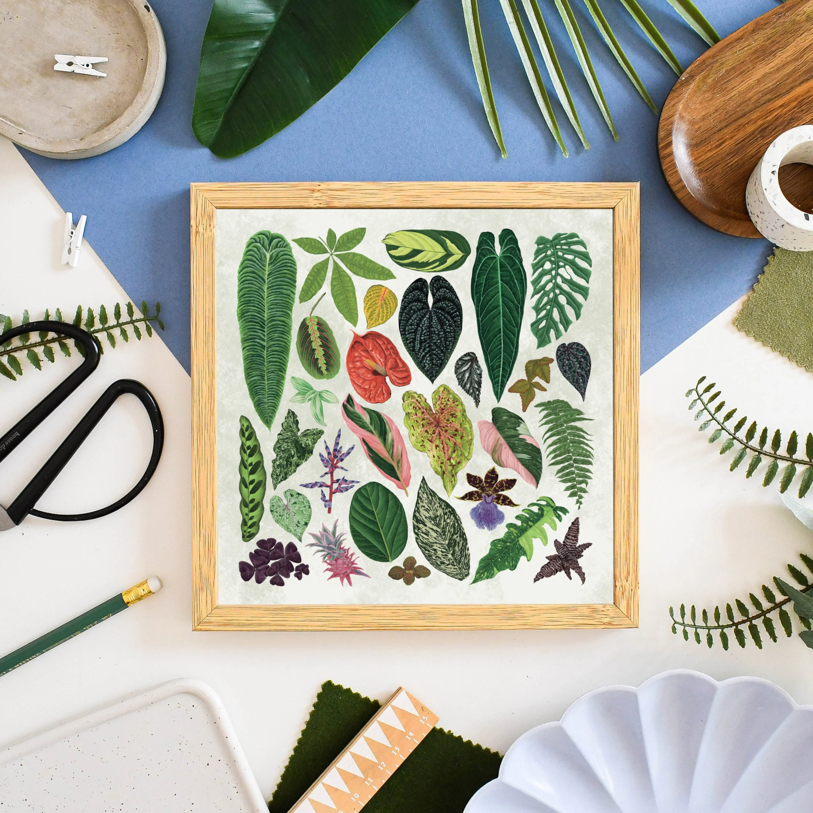 Tropical Houseplant Print [Beneath the Canopy RHS Collab]