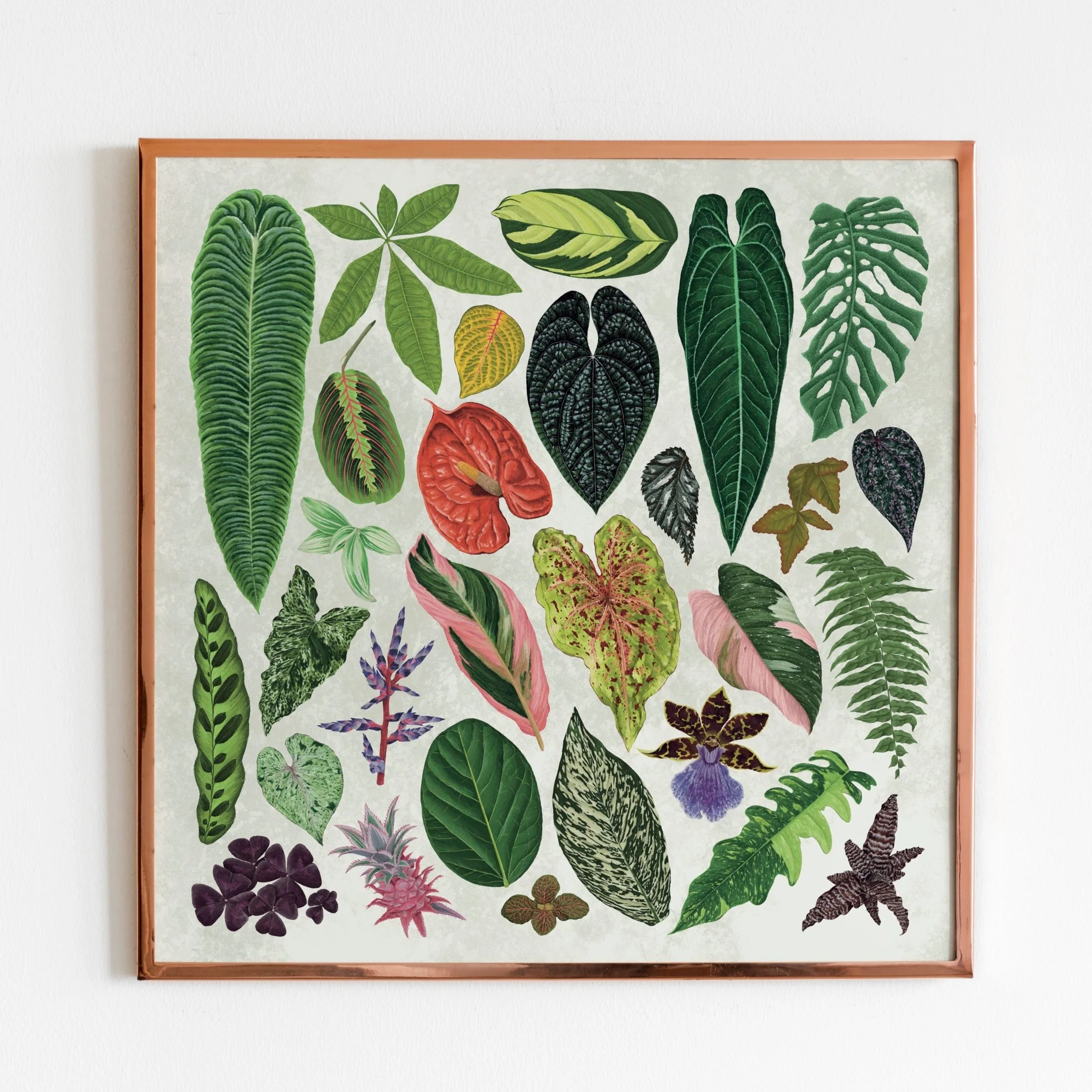 Tropical Houseplant Print [Beneath the Canopy RHS Collab] - Image 2