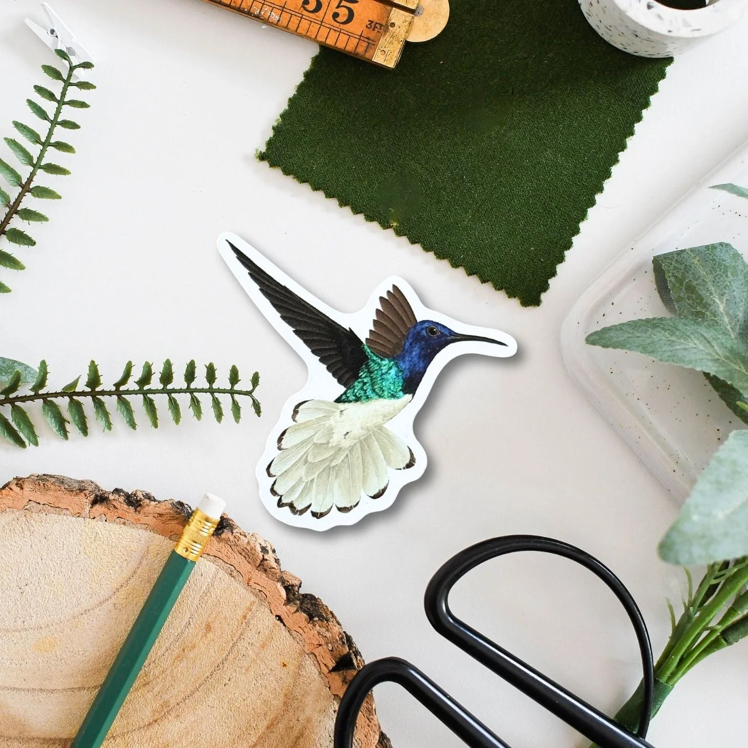 Tropical Hummingbird Amazon Wildlife Vinyl Sticker [Beneath the Canopy RHS Collab] - Image 2