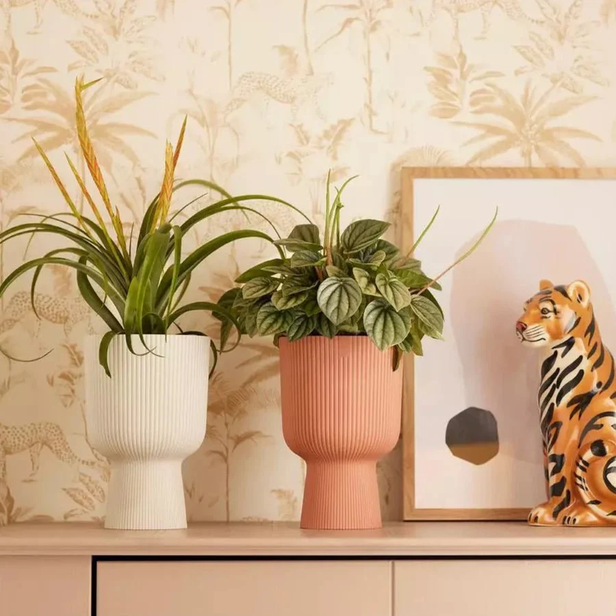 Vibes Fold Coupe Pot