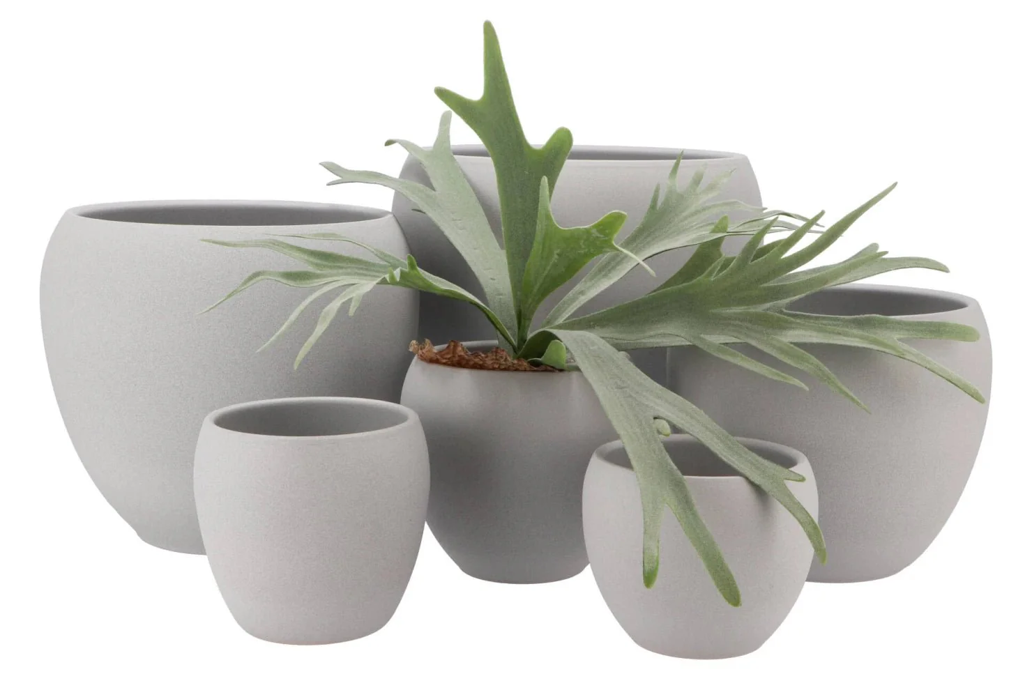 Vinci Curved Matt Pot - Image 3