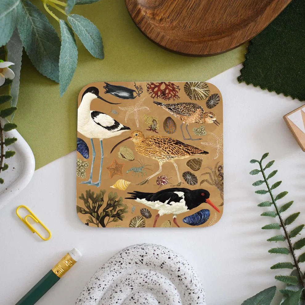 Wading Birds Illustrated Wildlife Coaster – Featuring Curlew, Avocet & Oystercatcher