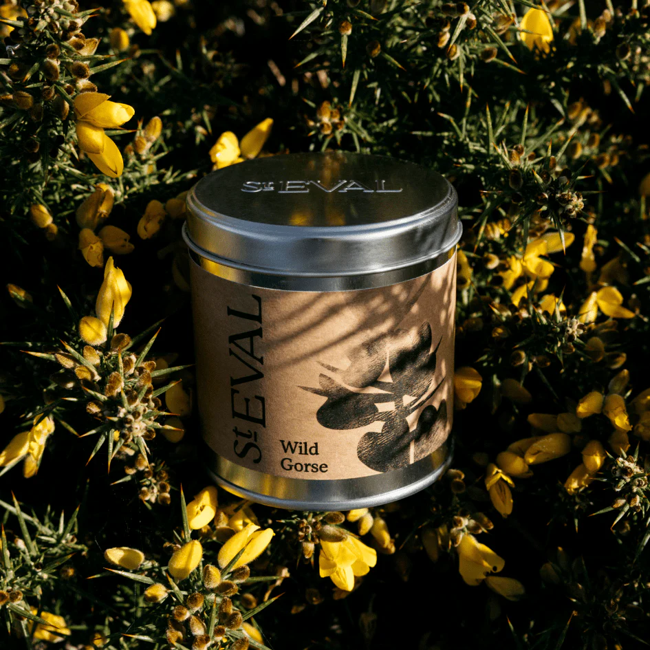 Wild Gorse Scented Tin Candle - Image 4
