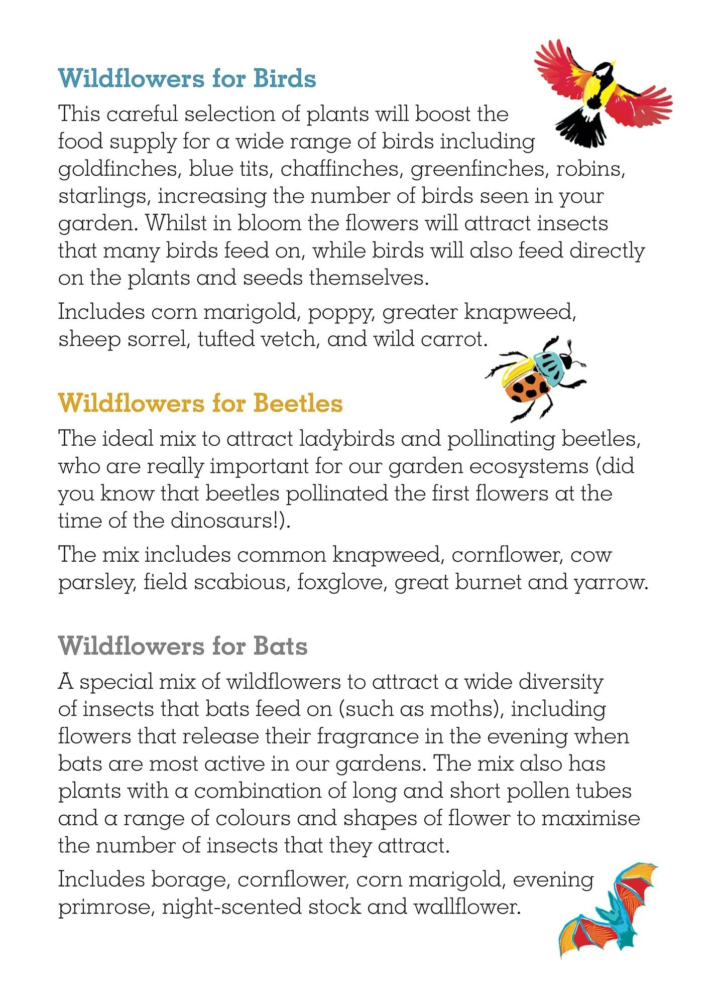 Wildlife Collection Seedball Boxes - Image 3