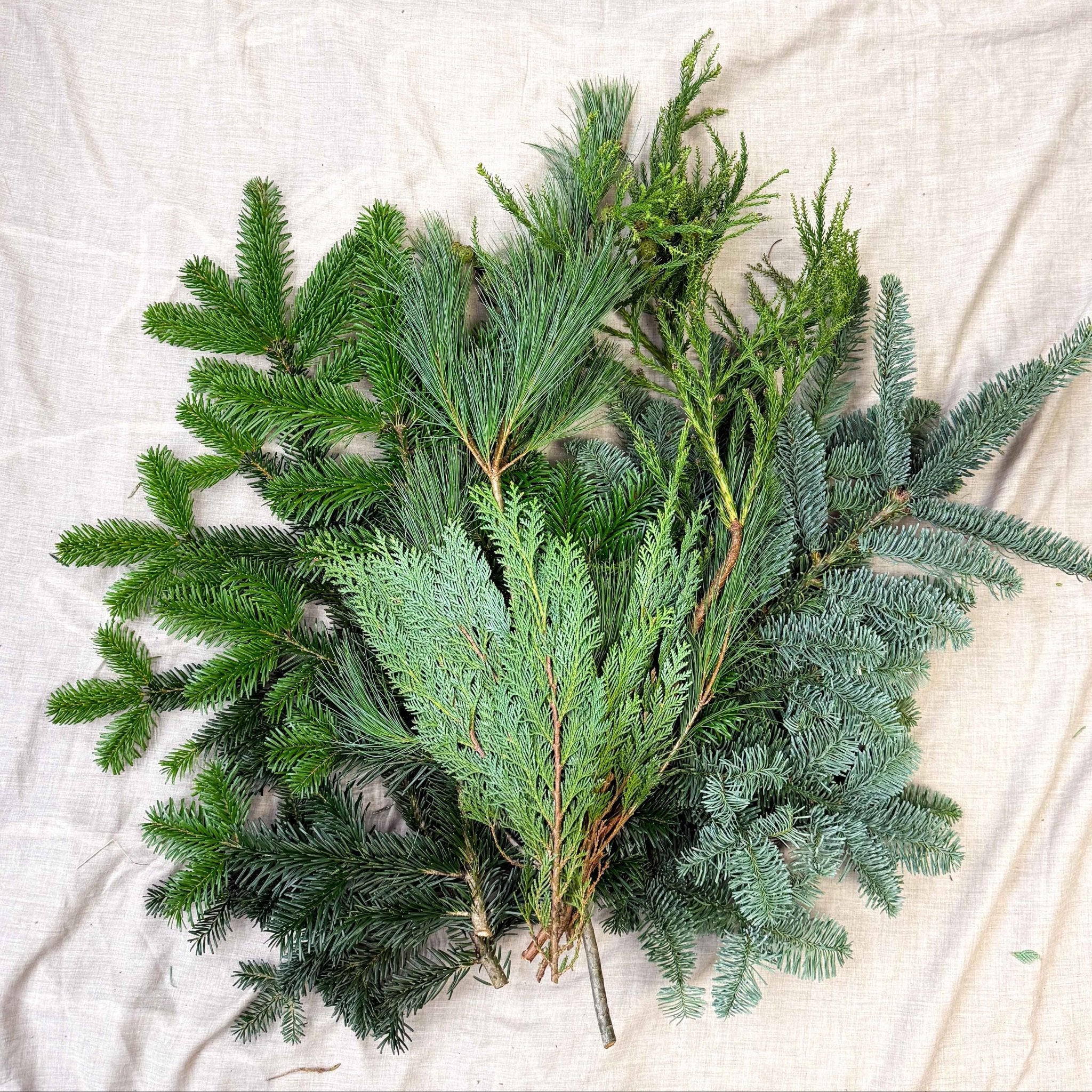 Winter Mix Foliage Branch Selection – Fresh Christmas Craft Greens for Wreaths, Garlands & Festive Floristry