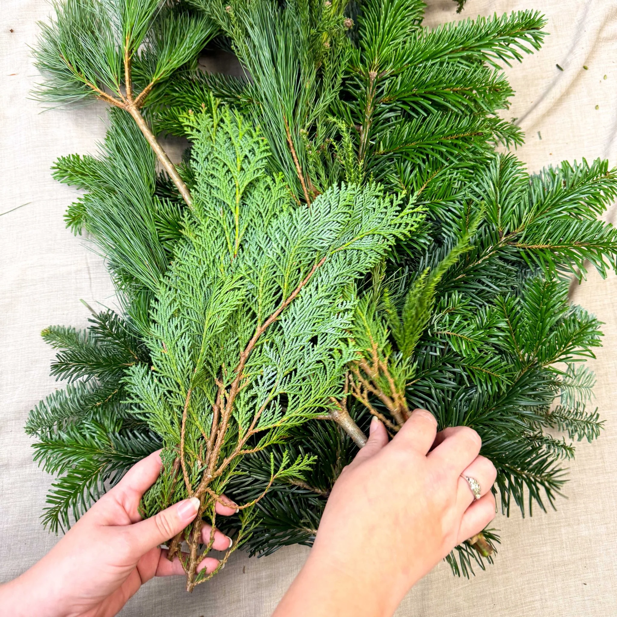 Winter Mix Foliage Branch Selection – Fresh Christmas Craft Greens for Wreaths, Garlands & Festive Floristry - Image 10