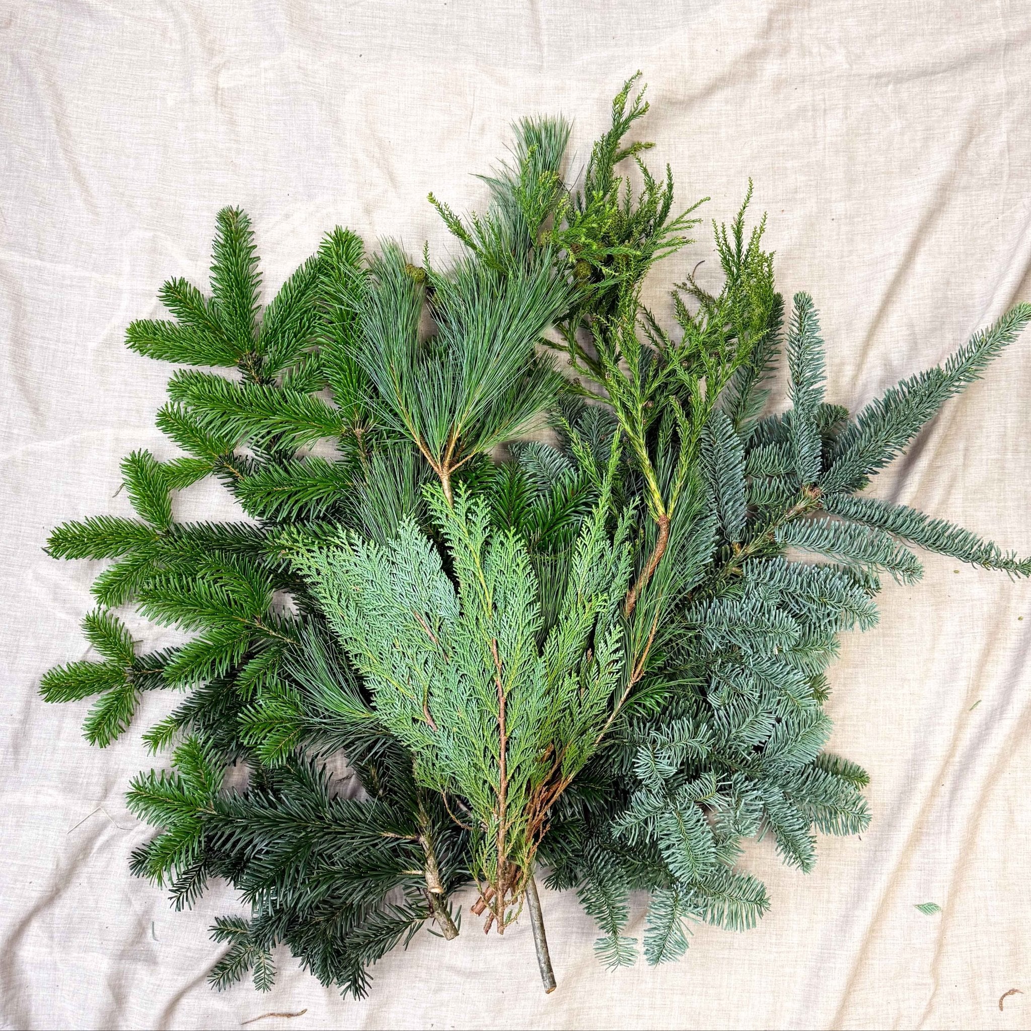 Winter Mix Foliage Branch Selection – Fresh Christmas Craft Greens for Wreaths, Garlands & Festive Floristry - Image 11