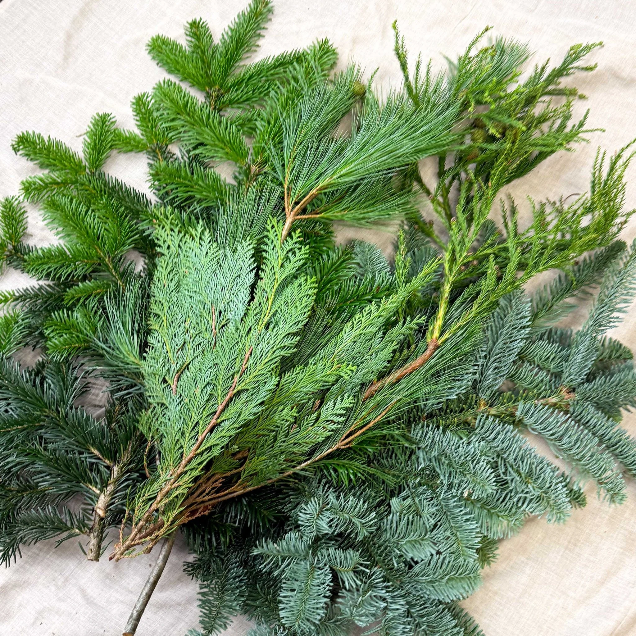 Winter Mix Foliage Branch Selection – Fresh Christmas Craft Greens for Wreaths, Garlands & Festive Floristry - Image 12