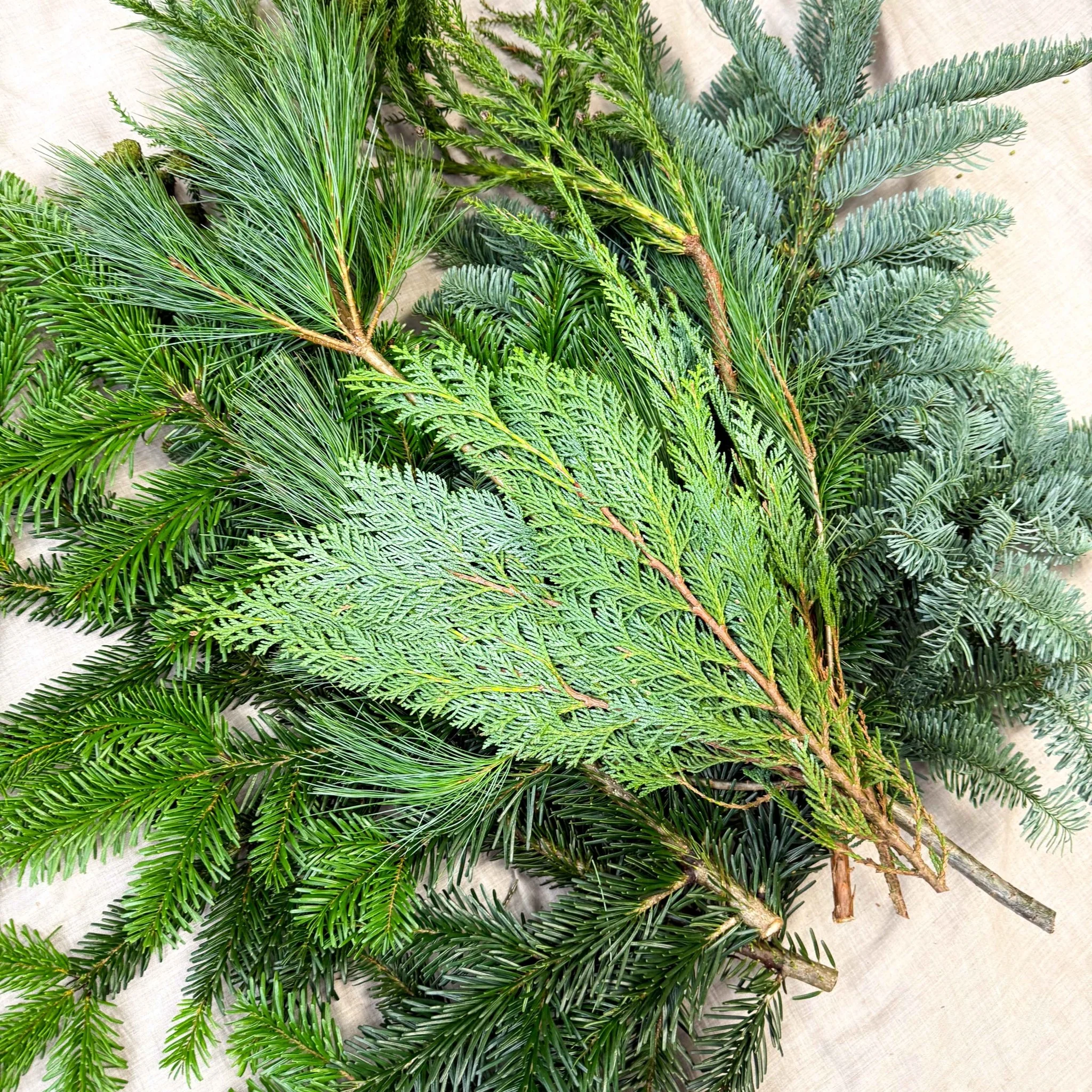 Winter Mix Foliage Branch Selection – Fresh Christmas Craft Greens for Wreaths, Garlands & Festive Floristry - Image 13