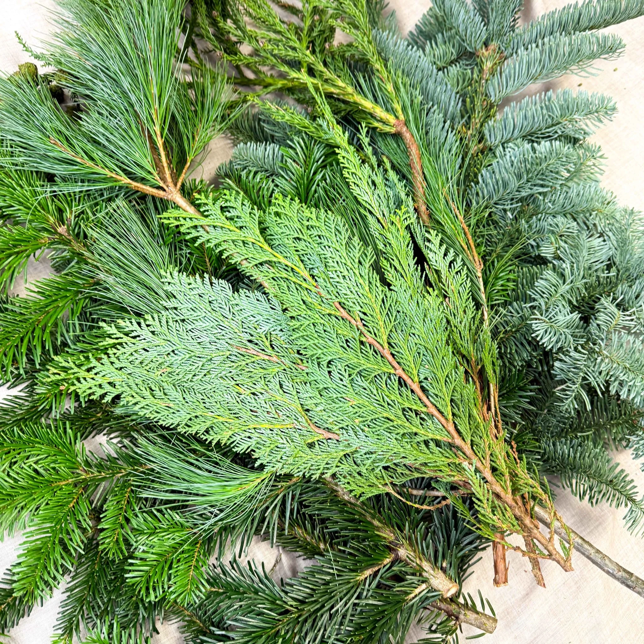 Winter Mix Foliage Branch Selection – Fresh Christmas Craft Greens for Wreaths, Garlands & Festive Floristry - Image 14