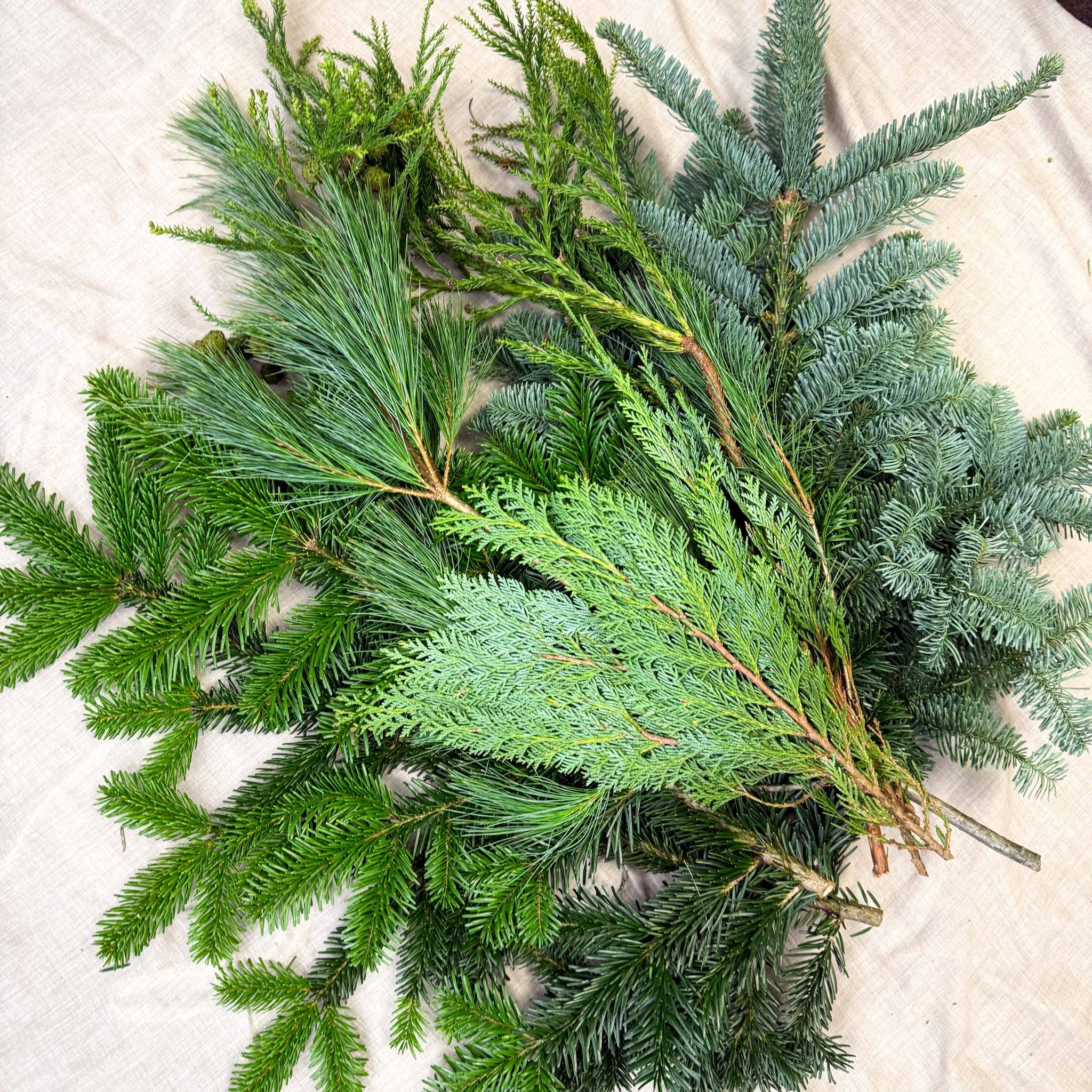 Winter Mix Foliage Branch Selection – Fresh Christmas Craft Greens for Wreaths, Garlands & Festive Floristry - Image 15
