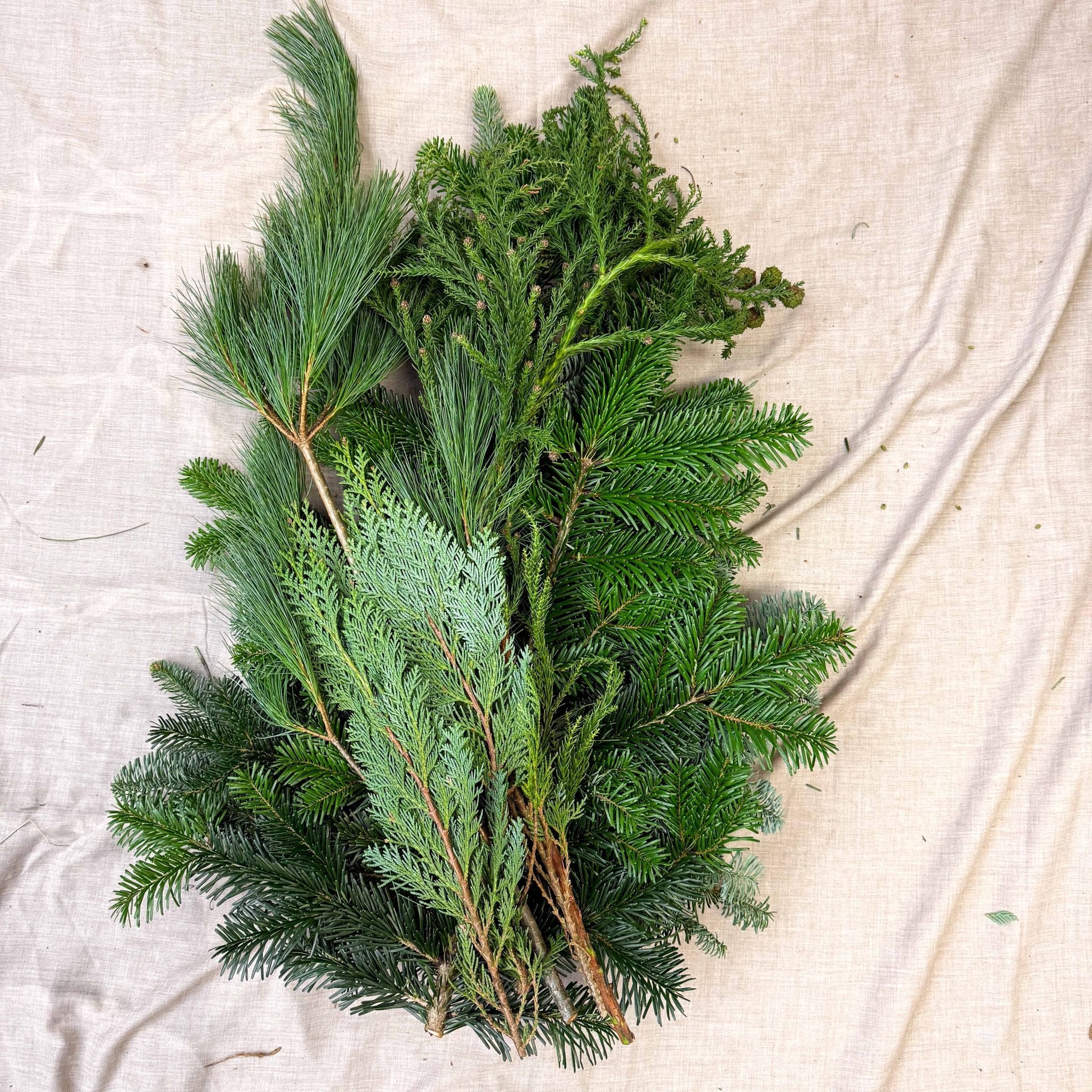 Winter Mix Foliage Branch Selection – Fresh Christmas Craft Greens for Wreaths, Garlands & Festive Floristry - Image 16