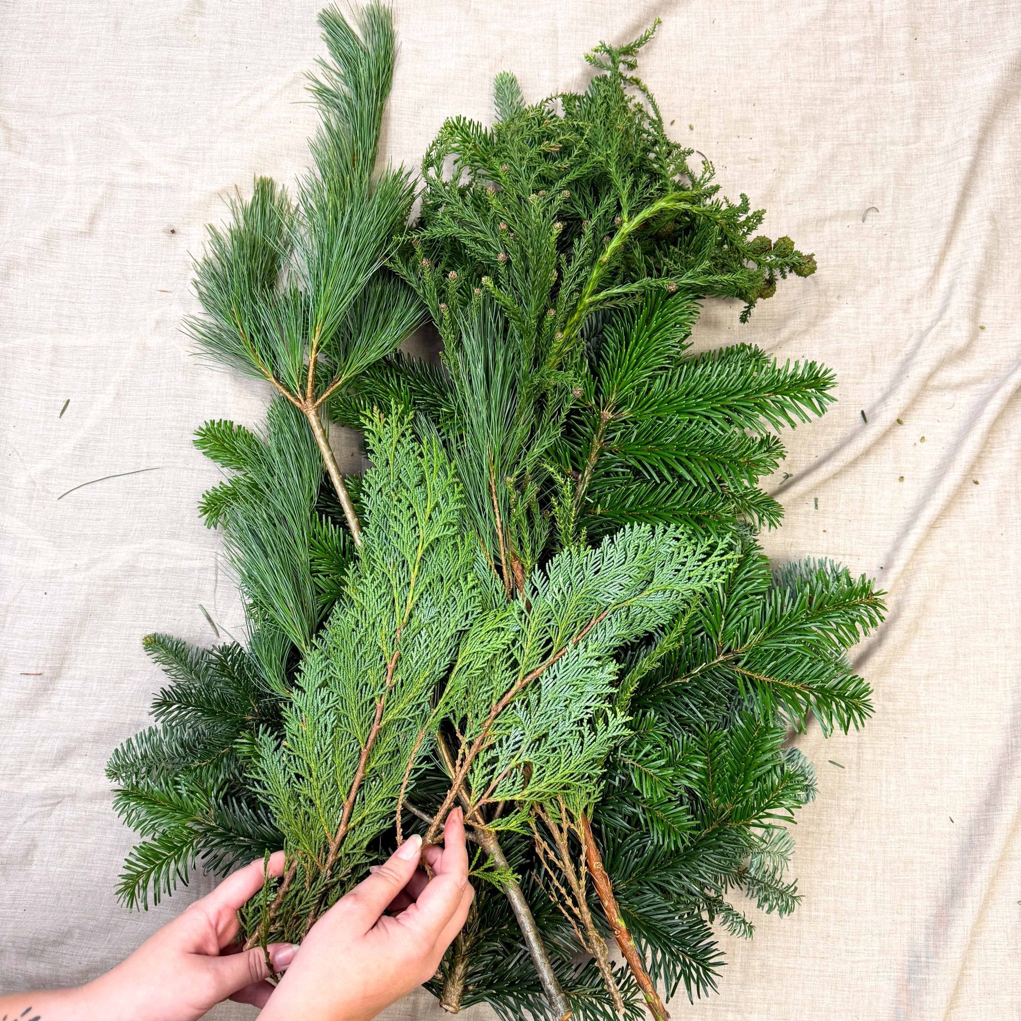 Winter Mix Foliage Branch Selection – Fresh Christmas Craft Greens for Wreaths, Garlands & Festive Floristry - Image 17