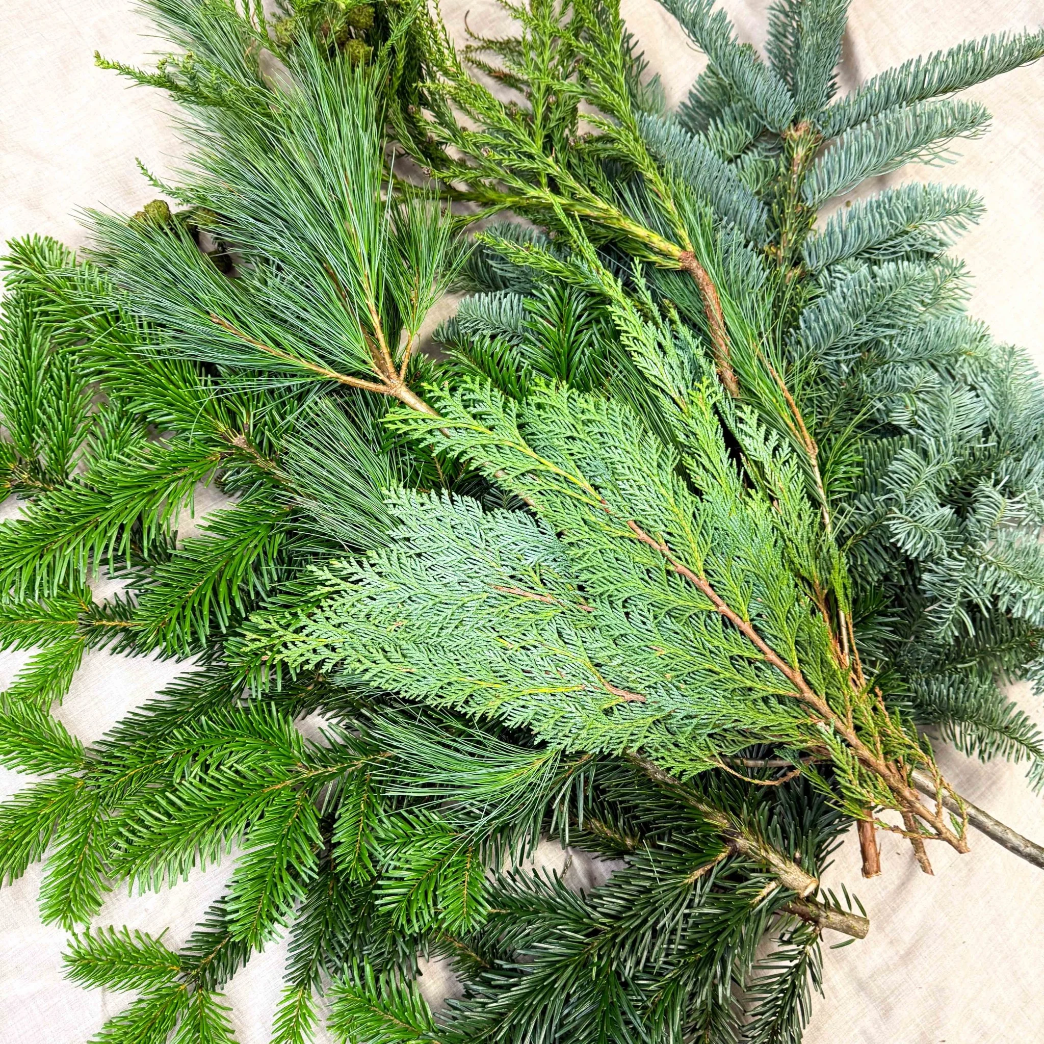 Winter Mix Foliage Branch Selection – Fresh Christmas Craft Greens for Wreaths, Garlands & Festive Floristry - Image 2