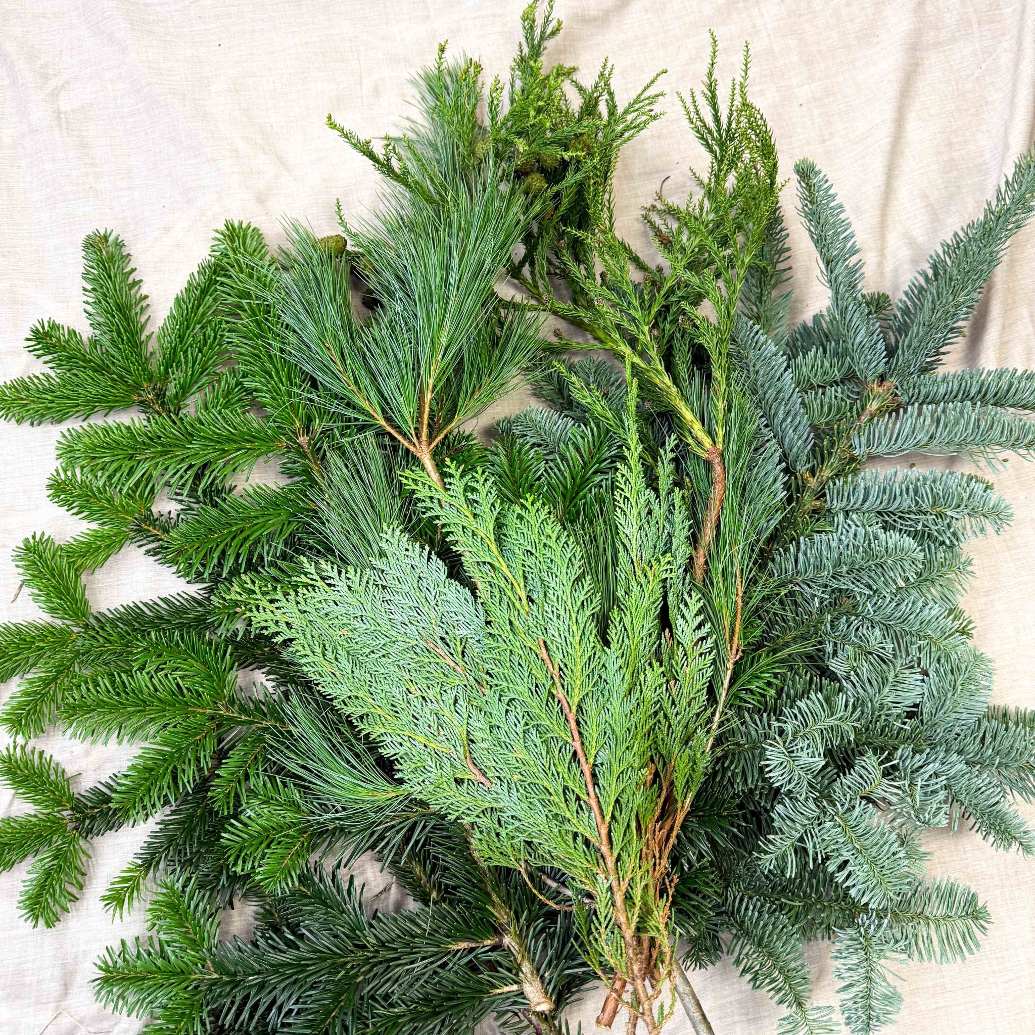 Winter Mix Foliage Branch Selection – Fresh Christmas Craft Greens for Wreaths, Garlands & Festive Floristry - Image 3