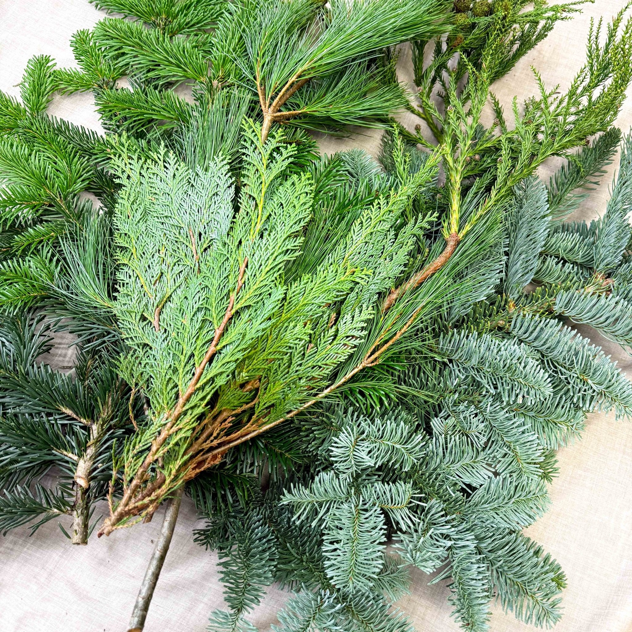 Winter Mix Foliage Branch Selection – Fresh Christmas Craft Greens for Wreaths, Garlands & Festive Floristry - Image 4