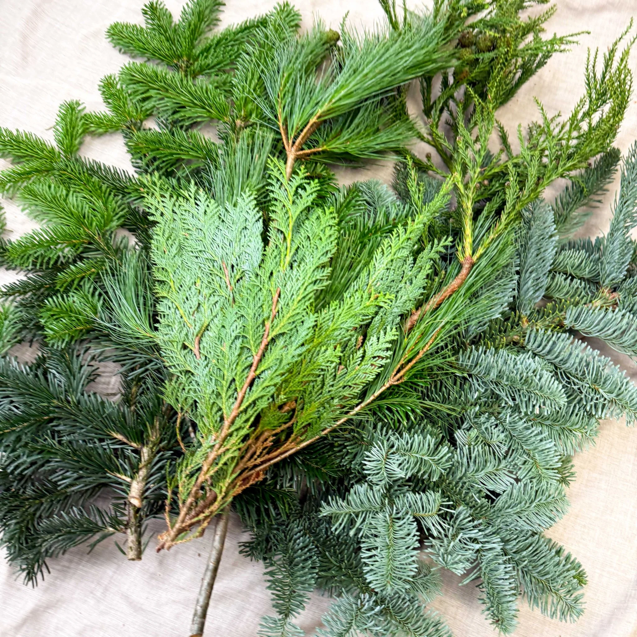 Winter Mix Foliage Branch Selection – Fresh Christmas Craft Greens for Wreaths, Garlands & Festive Floristry - Image 5